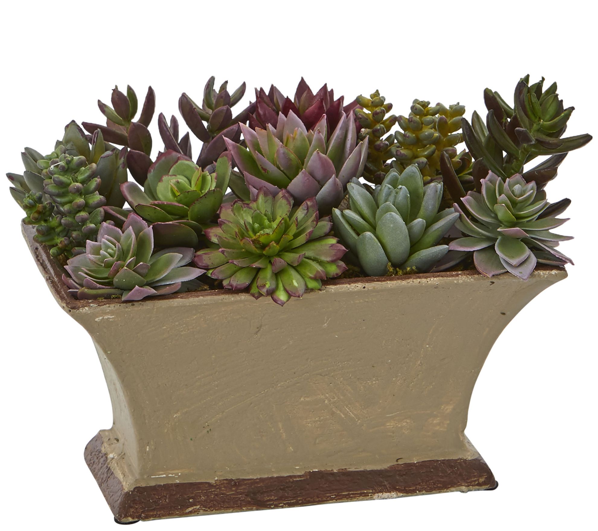 Mixed Succulent Artificial Plant in Vase by Nearly Natural