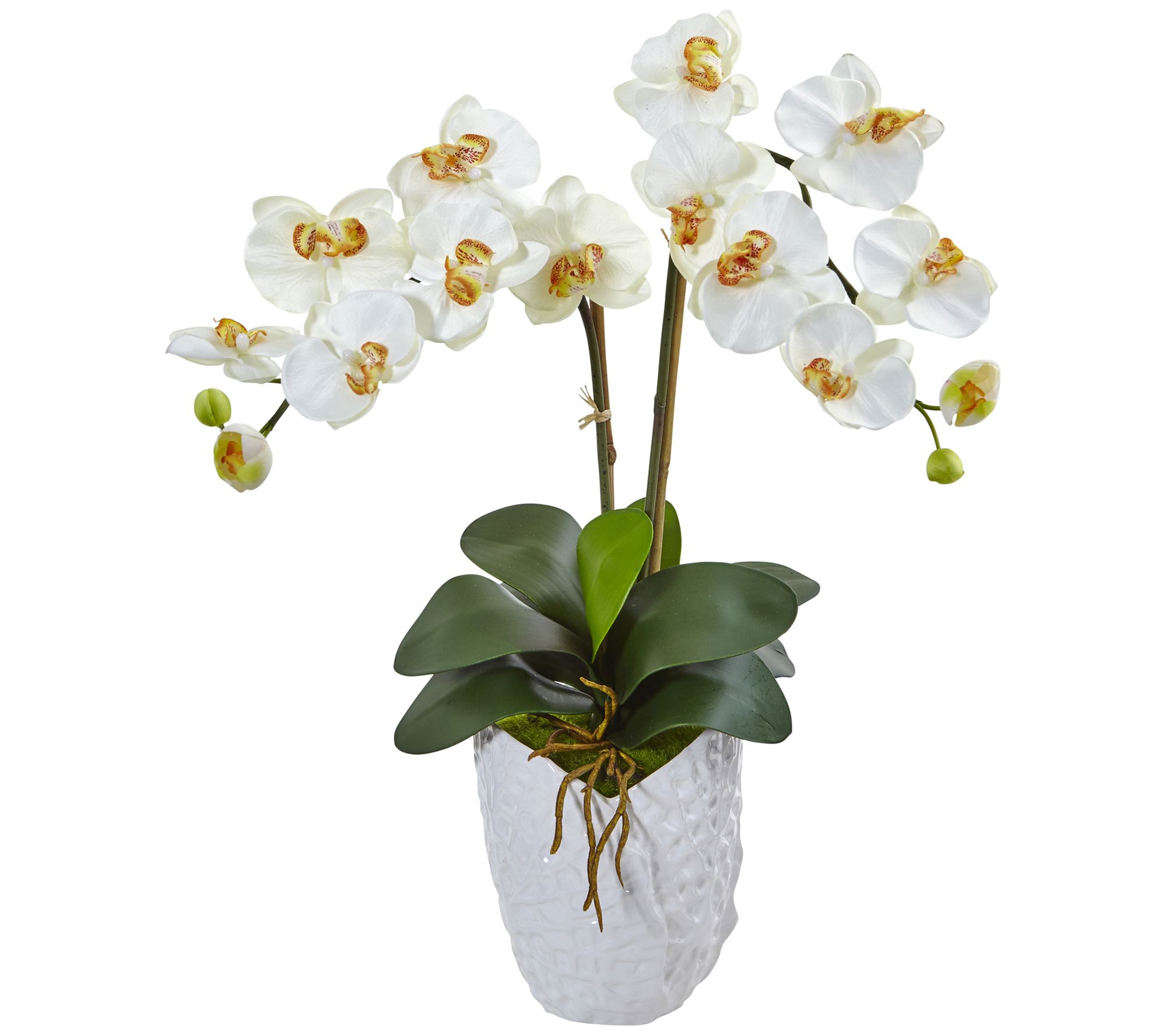 Double Phalaenopsis Orchid in White Vase by Nearly Natural