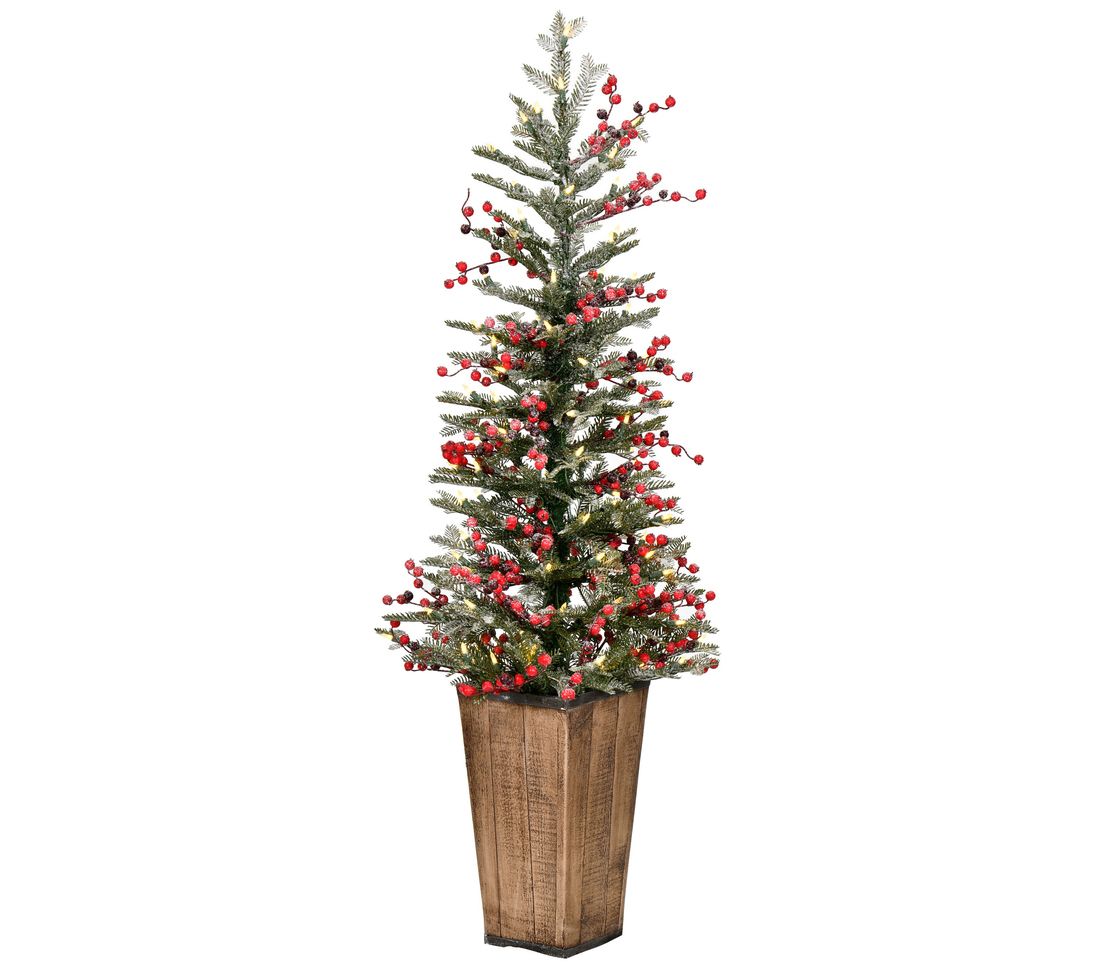 4 Foot Prelit Indoor/Outdoor Shimmering Frosted Pine Potted Tree with –  Haute Decor