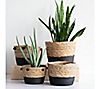 Foreside Home & Garden Aldis Natural Baskets Large, Set Of 2, 3 of 3