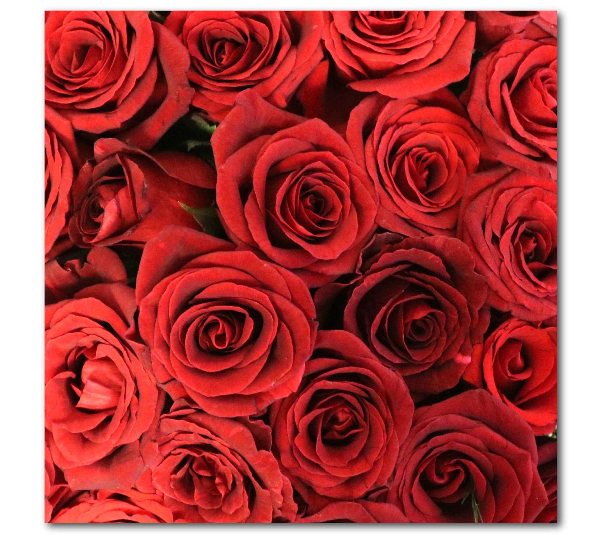 Courtside Market Paris Mon Amour I 16x16 CanvasWall Art