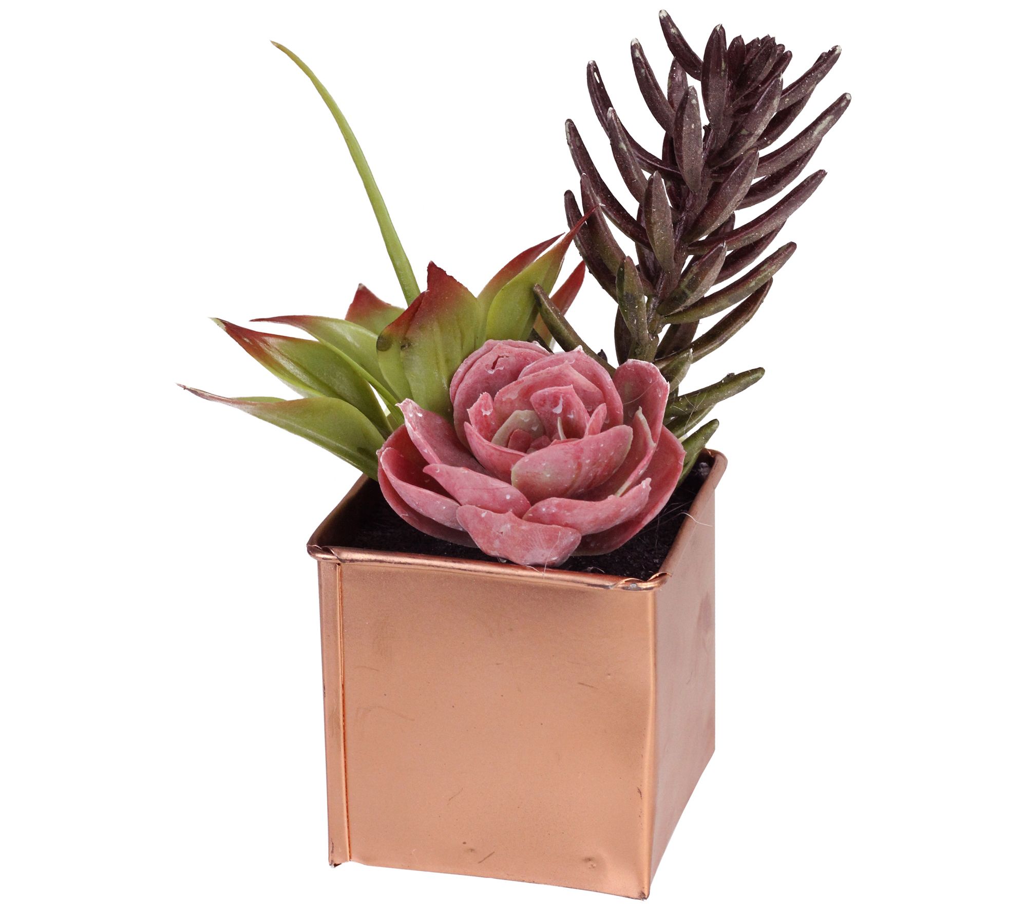 Northlight 7" Artificial Potted Mixed SucculentArrangement