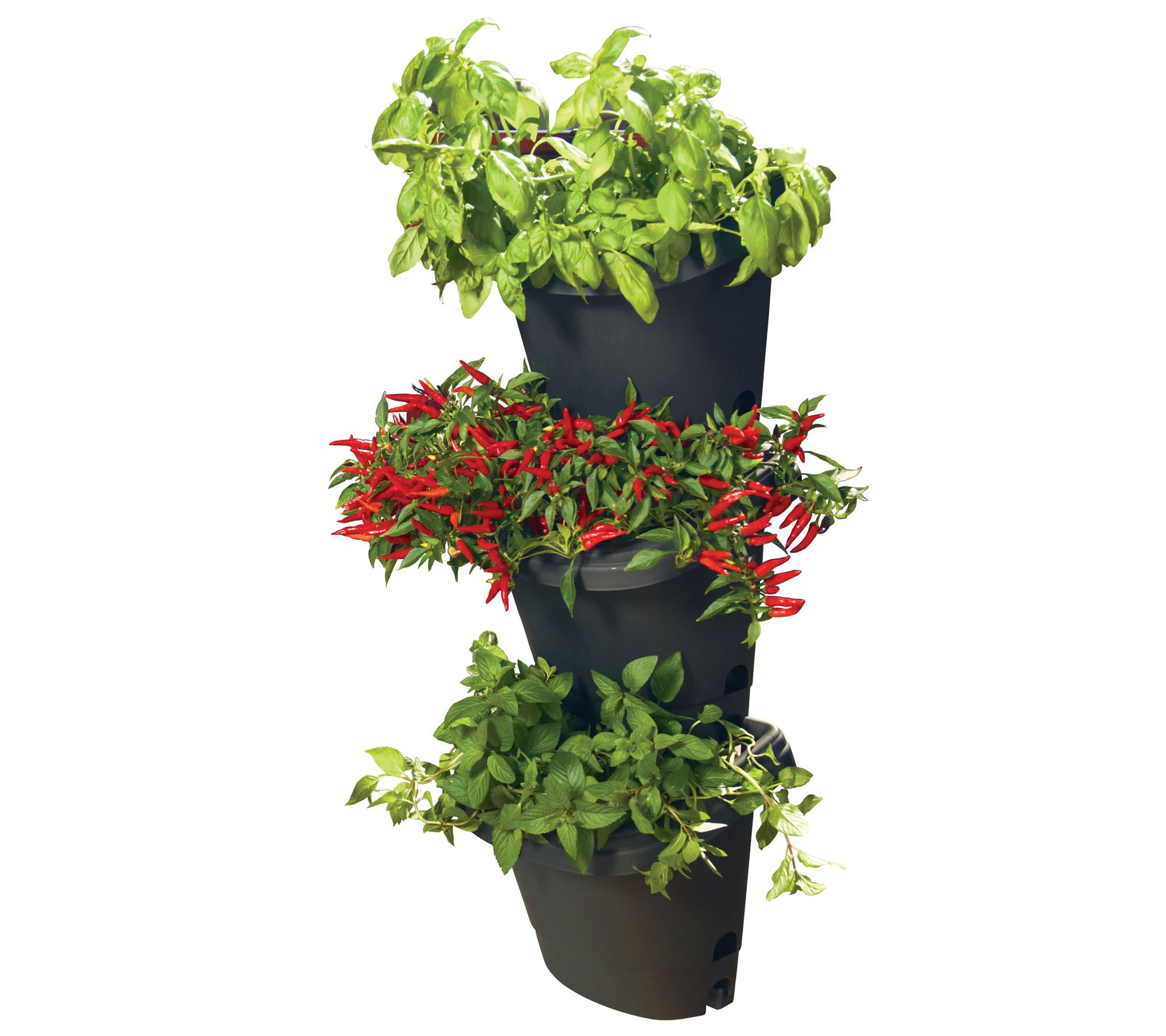 Bloem Hanging Garden Planter System 3 Pack Black