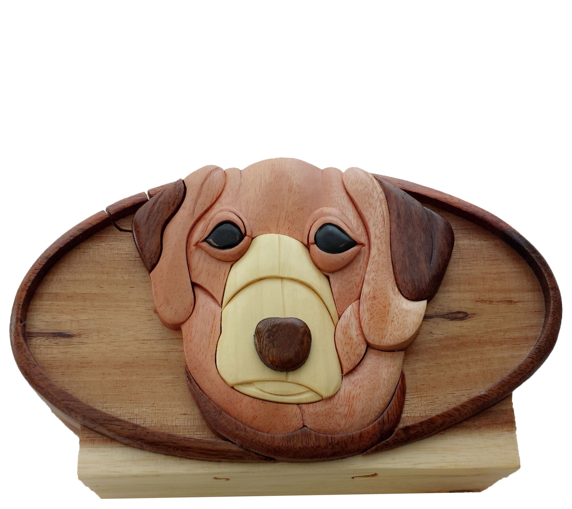 Carver Dan's Lab Puzzle Box with Magnet Closures - QVC.com