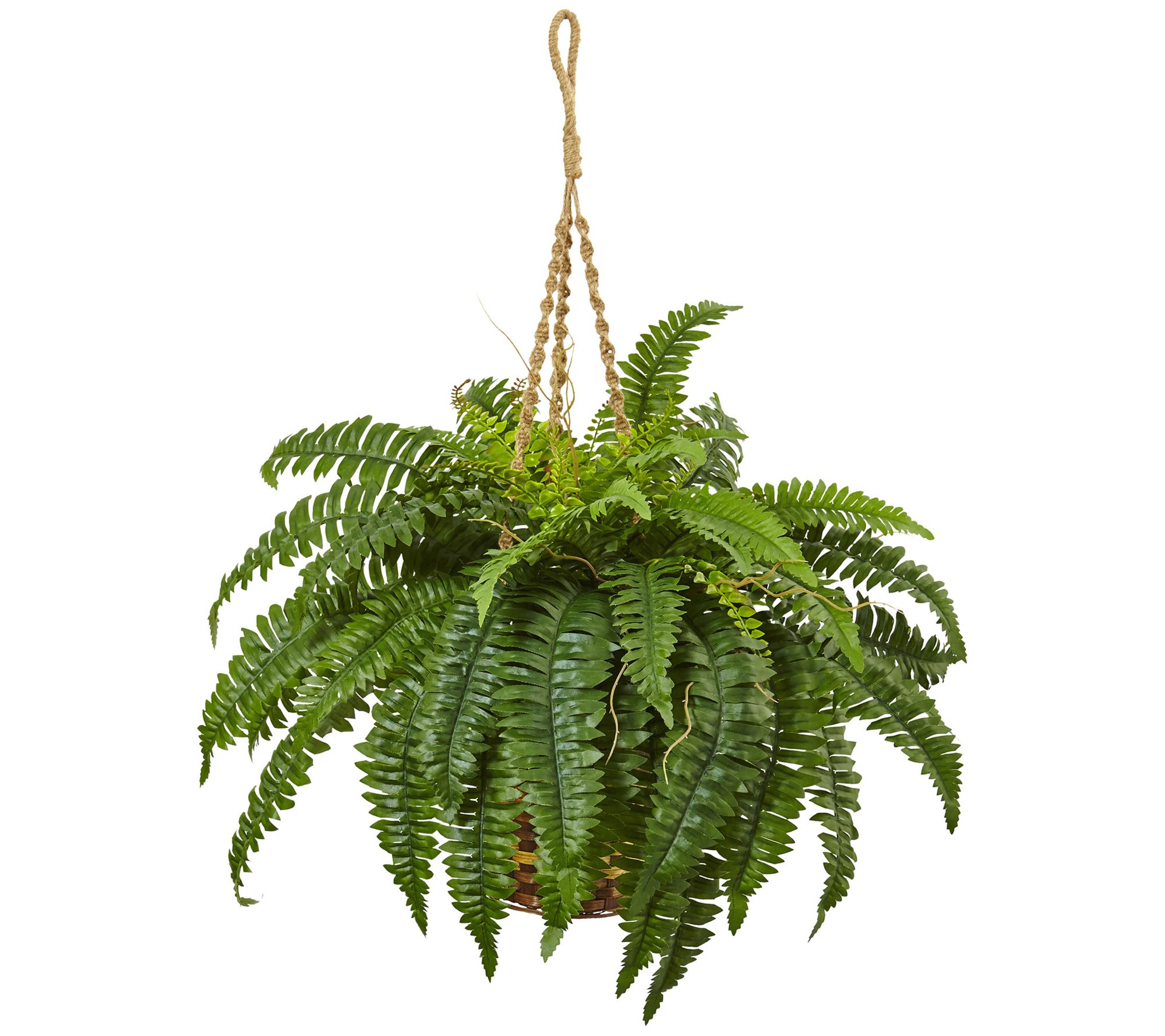 Boston Fern Small Hanging Basket by Nearly Natural