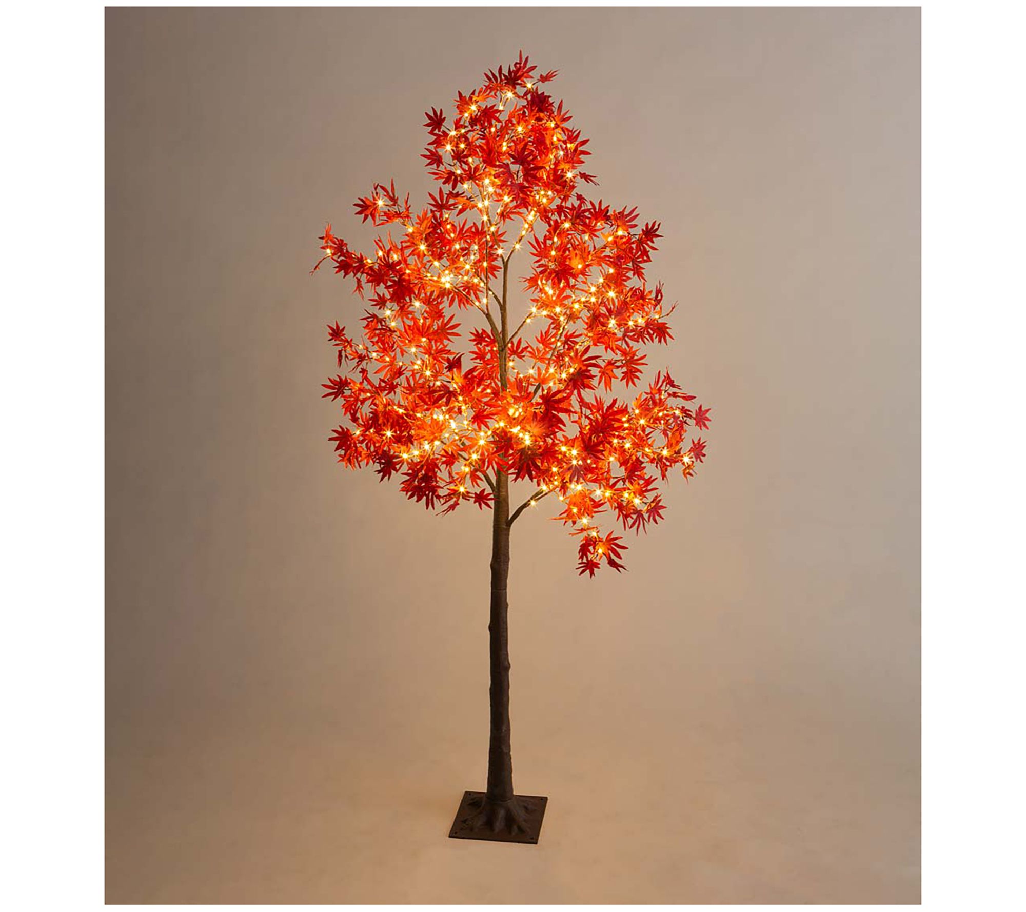 Evergreen 6' Indoor/Outdoor Lighted Japanese Maple Tree - QVC.com