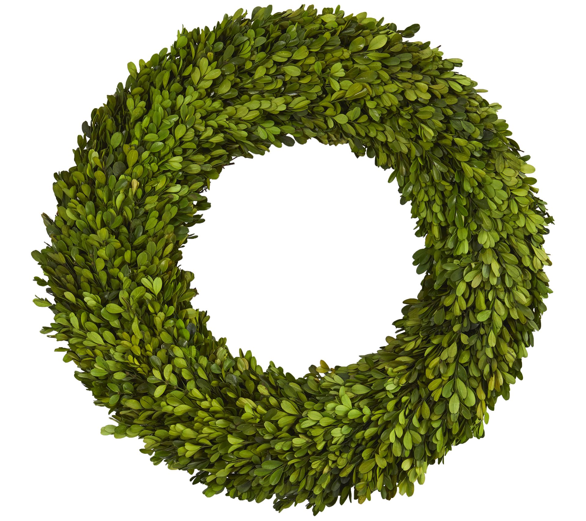Nearly Natural 24" Preserved Boxwood Wreath
