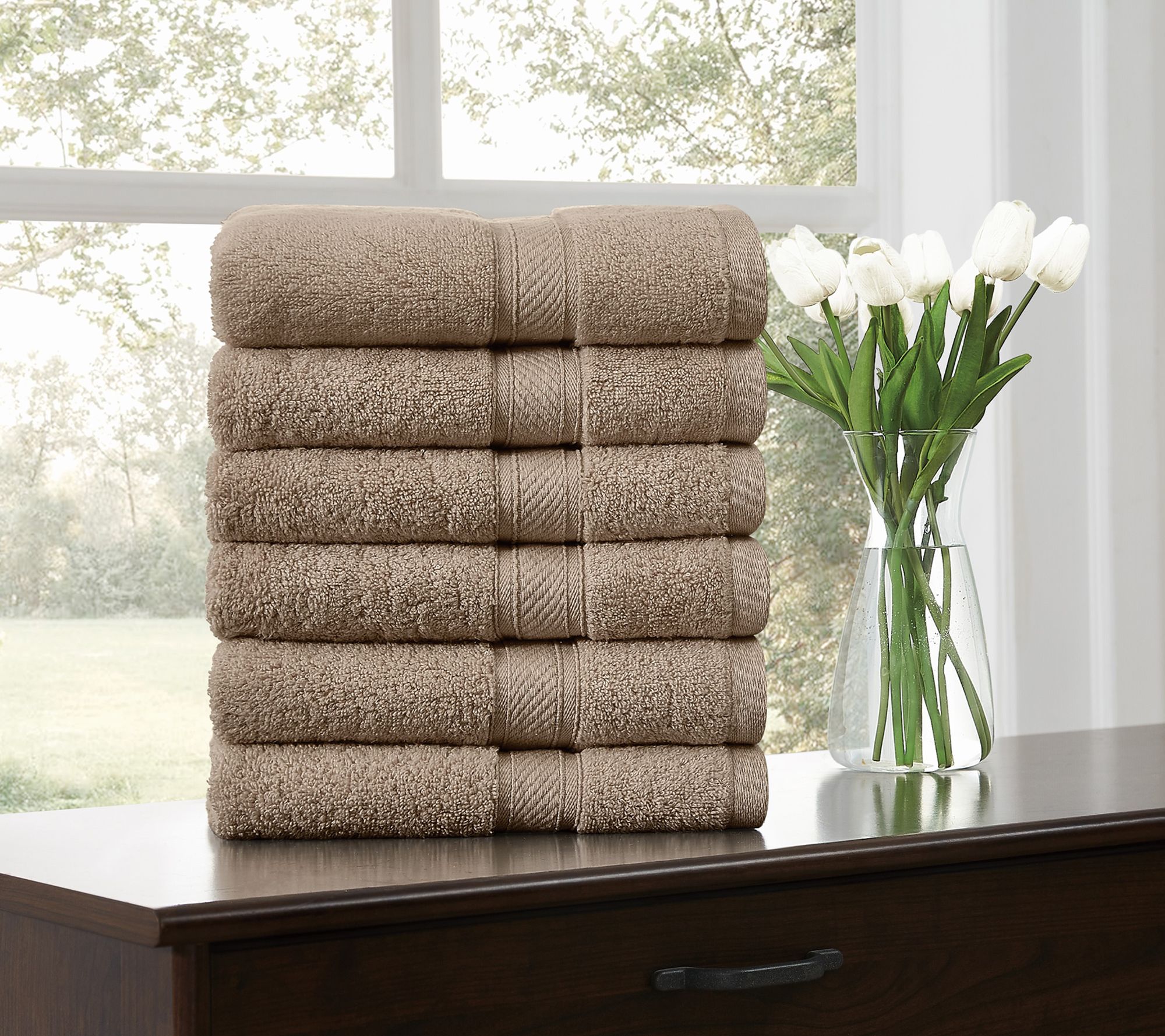 Royal Velvet Regal Plush 6-Piece Hand Towel
