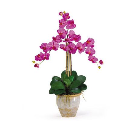 Phalaenopsis Orchid Arrangement byNearly Natural
