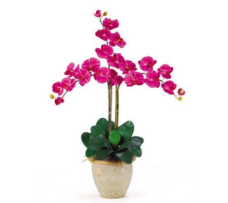 Phalaenopsis Orchid Arrangement byNearly Natural