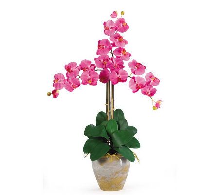 Phalaenopsis Orchid Arrangement byNearly Natural