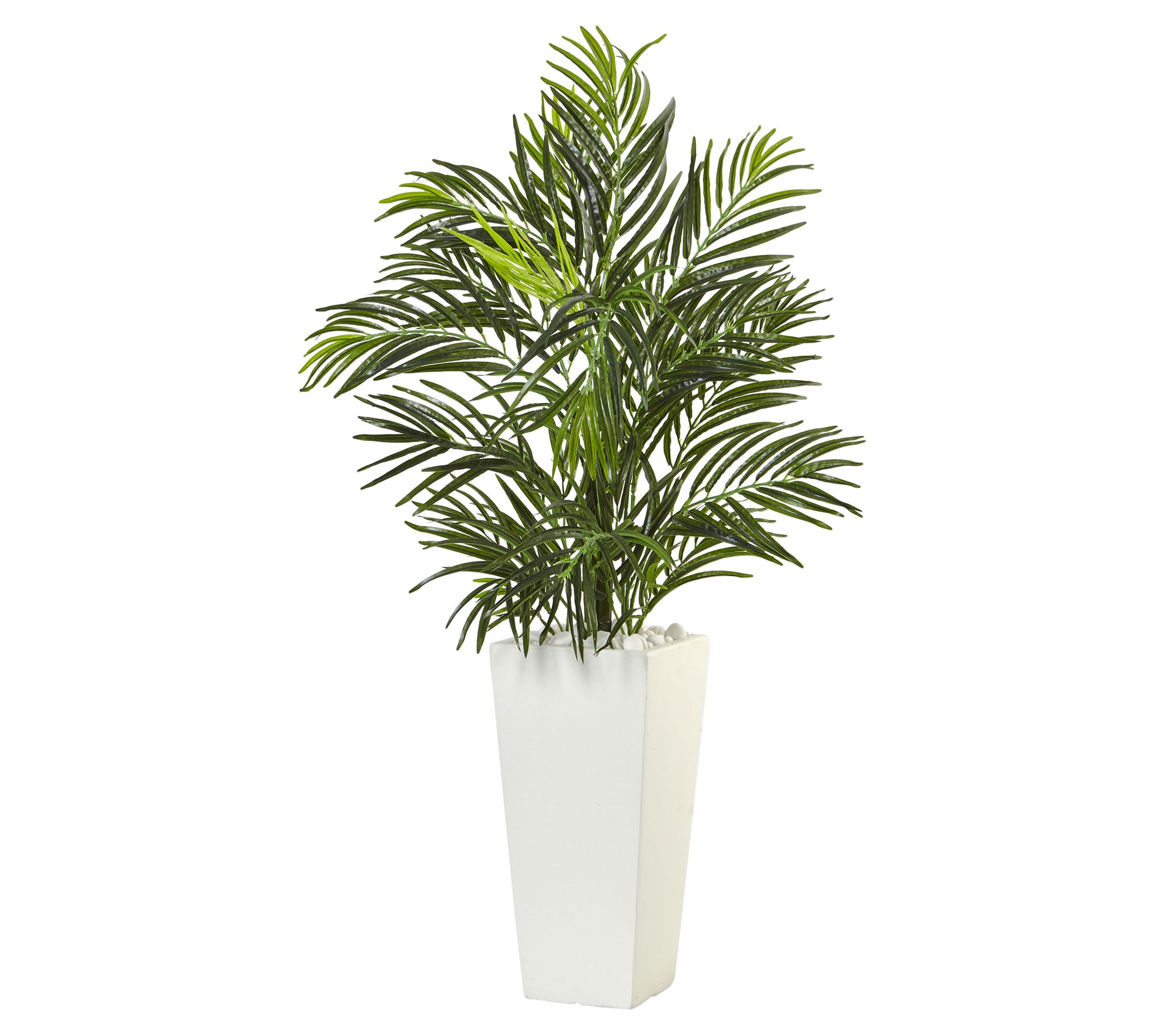 Areca Palm in White Square Planter by Nearly Natural - QVC.com