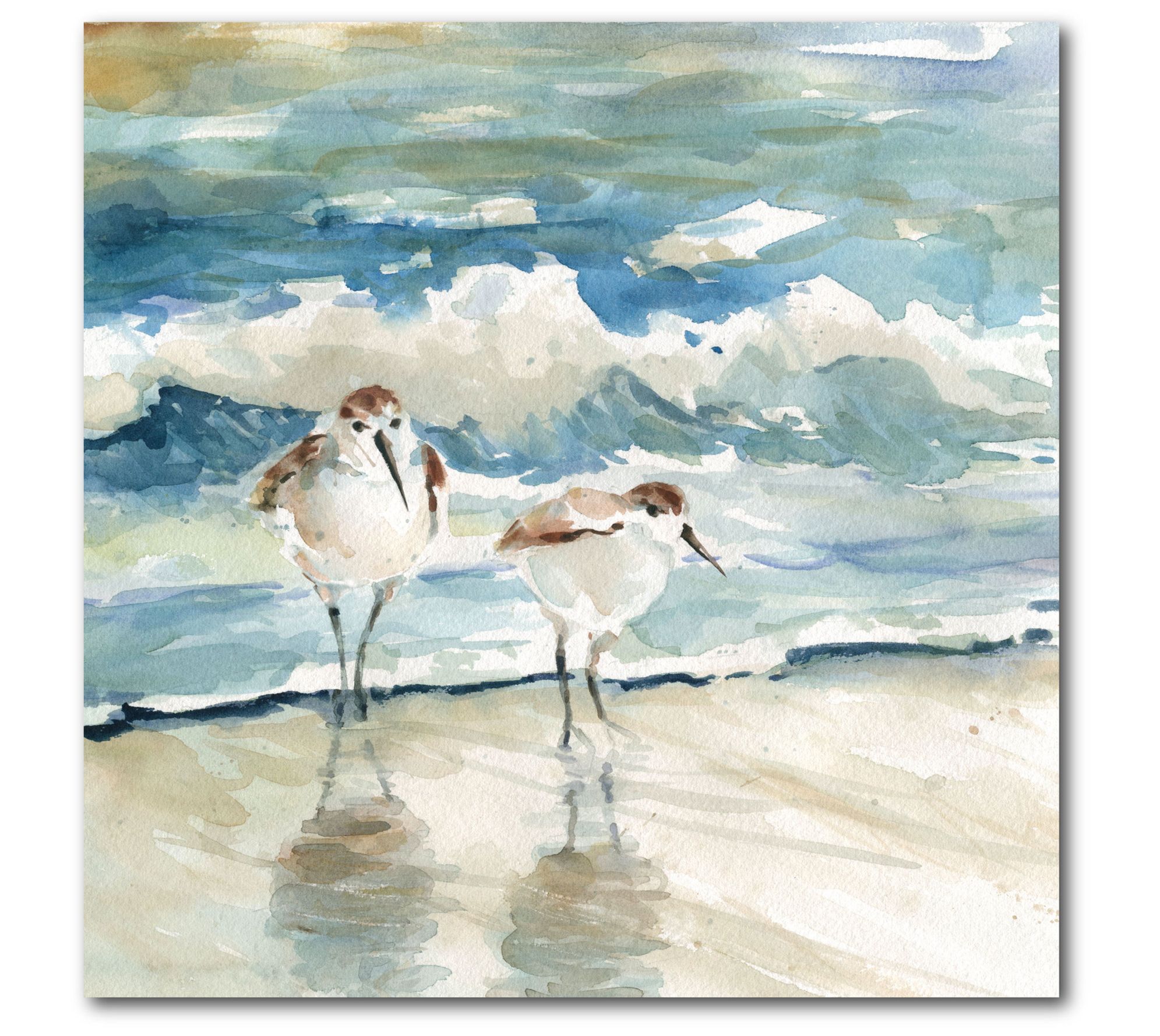 Courtside Market Beach Birds 16x16 Canvas WallArt