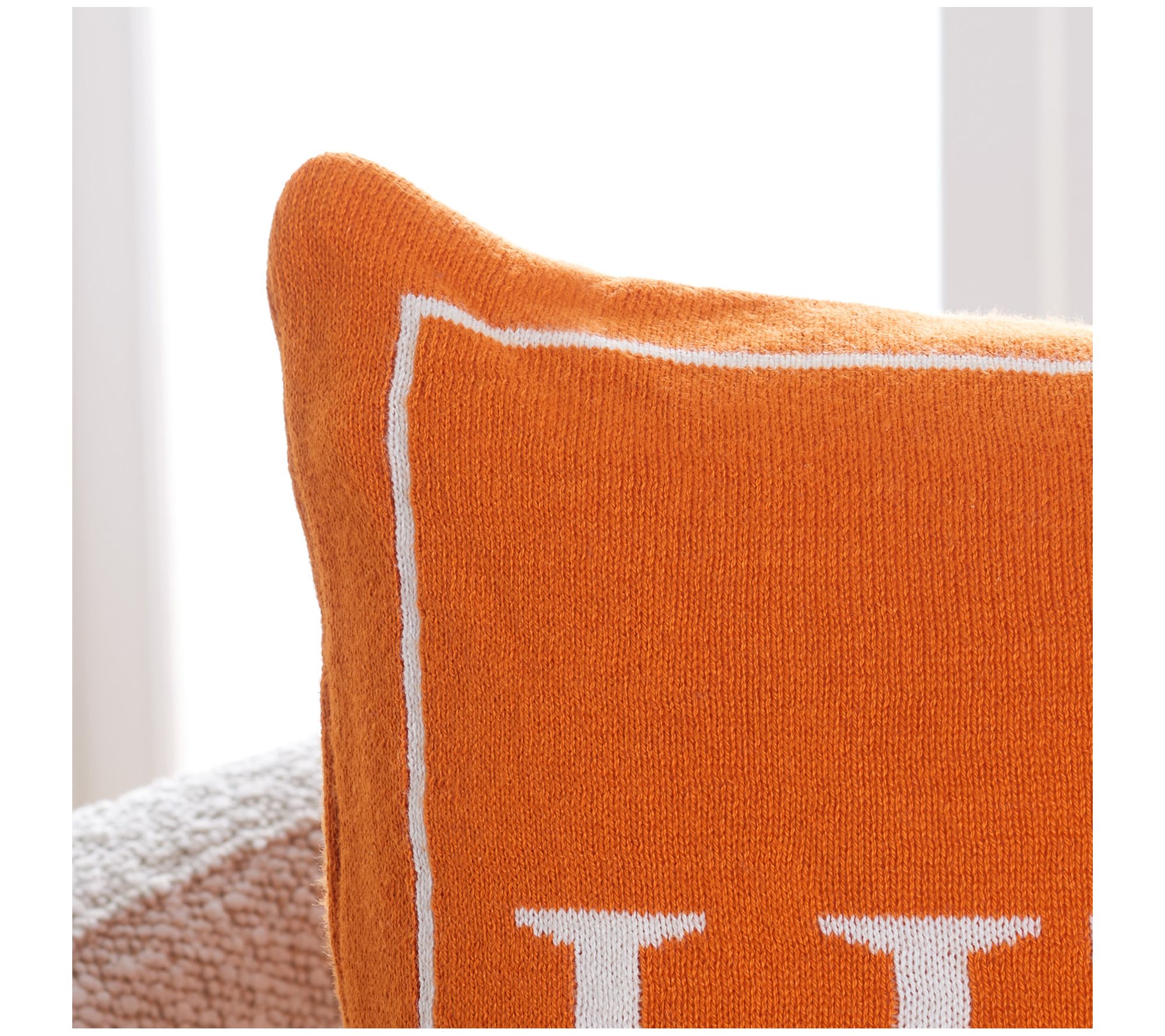 Safavieh Fall Pillow