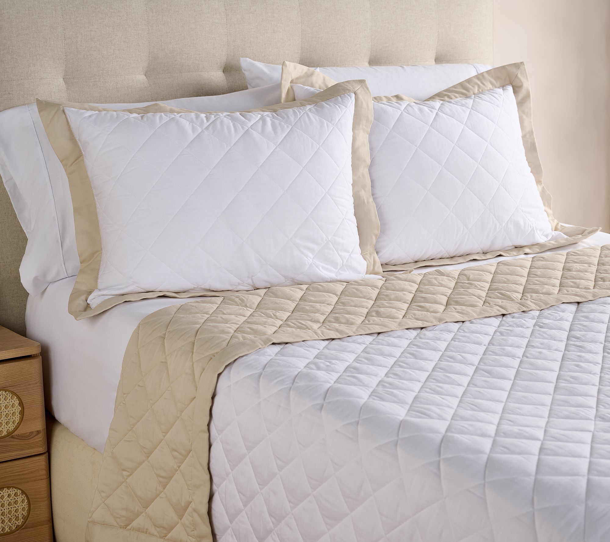 W by Wamsutta Reversible Down Alt Blanket & Sham Set- Queen