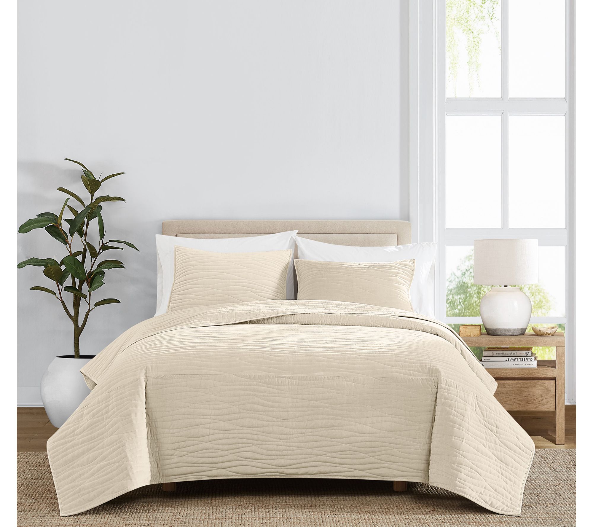 Royal Velvet Wavy Cotton Velvet Full/Queen Quilt Set
