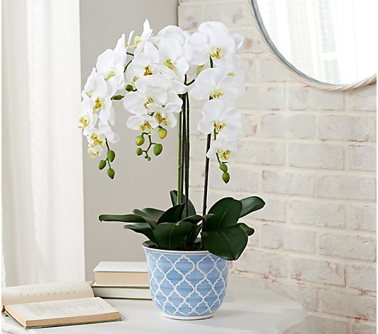 24" Faux Orchid Plant in Ceramic Pot by Valerie