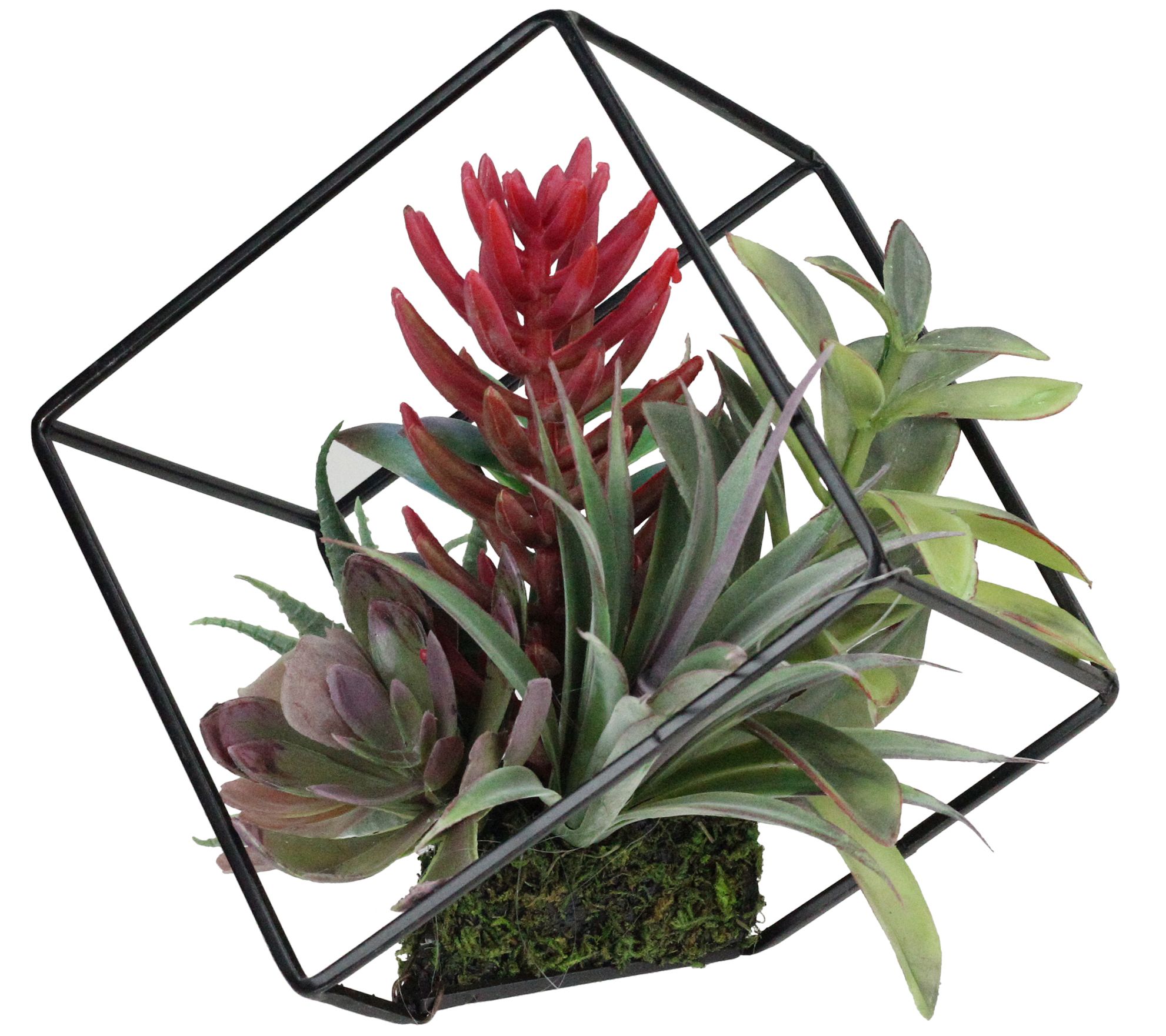 Northlight 7" Artificial Succulent Arrangementin Wire Frame