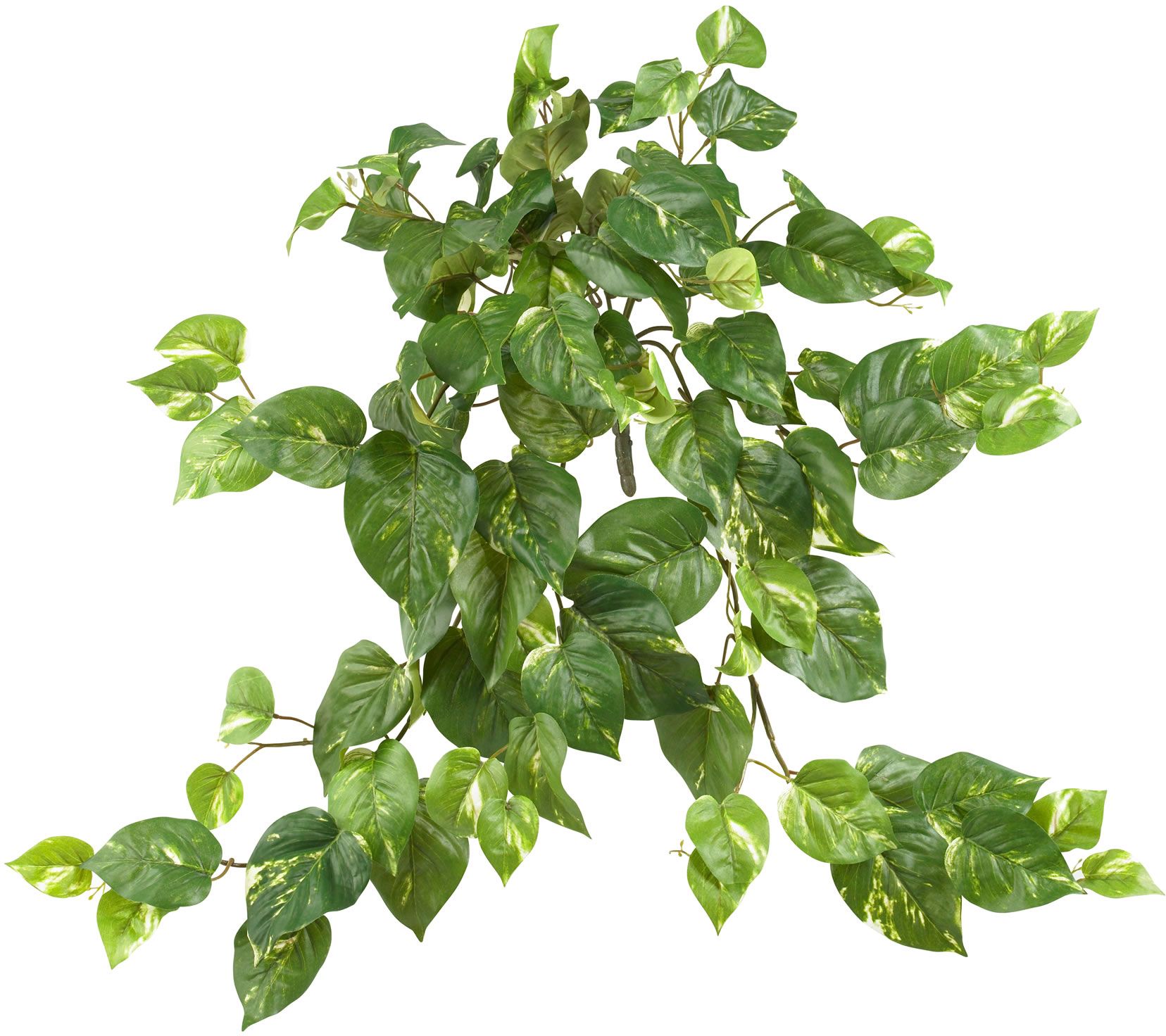 Set of 3 Pothos Hanging Plants by Nearly Natural