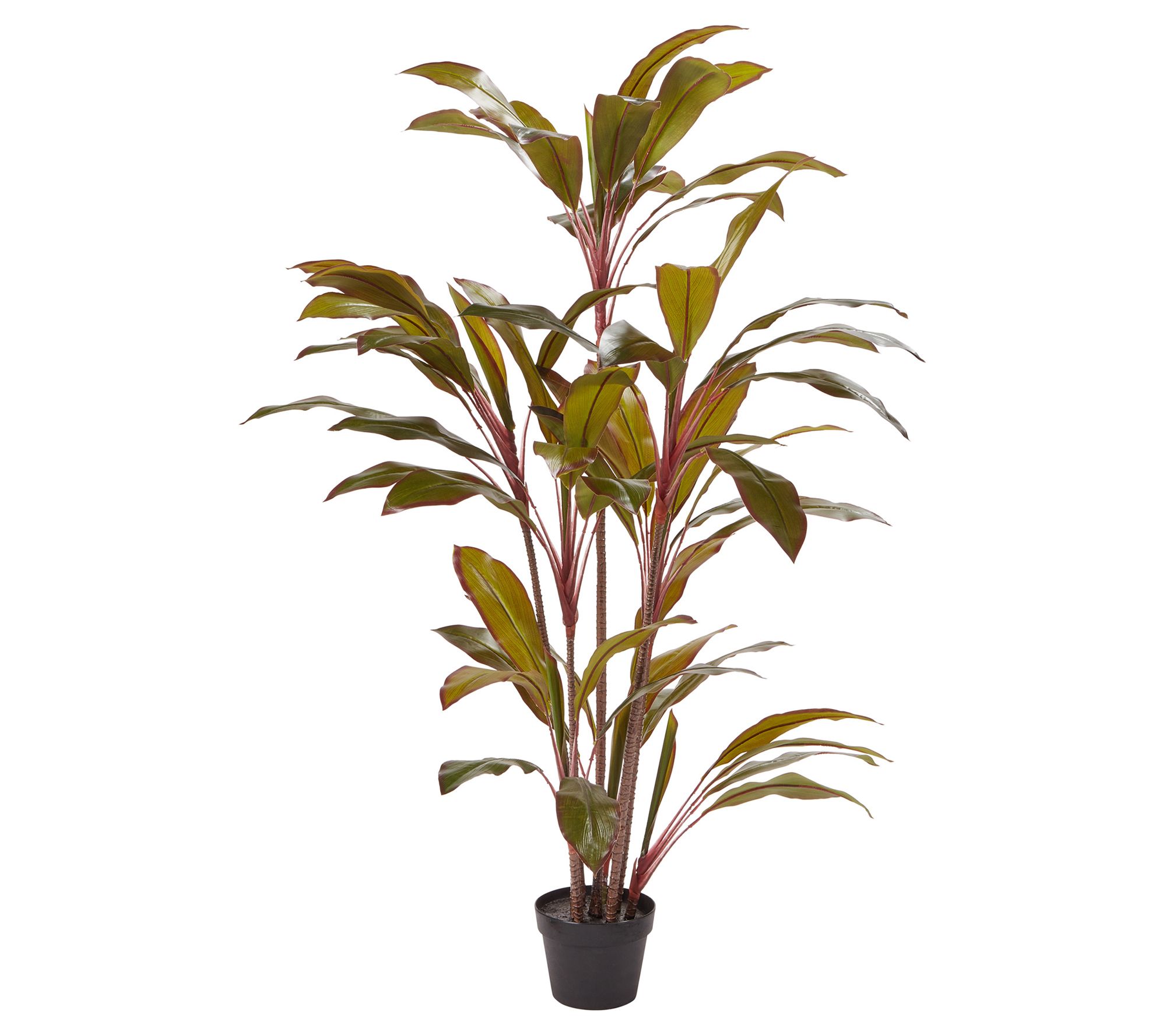 Pure Garden 59&quot; Artificial Potted Cordyline Plant