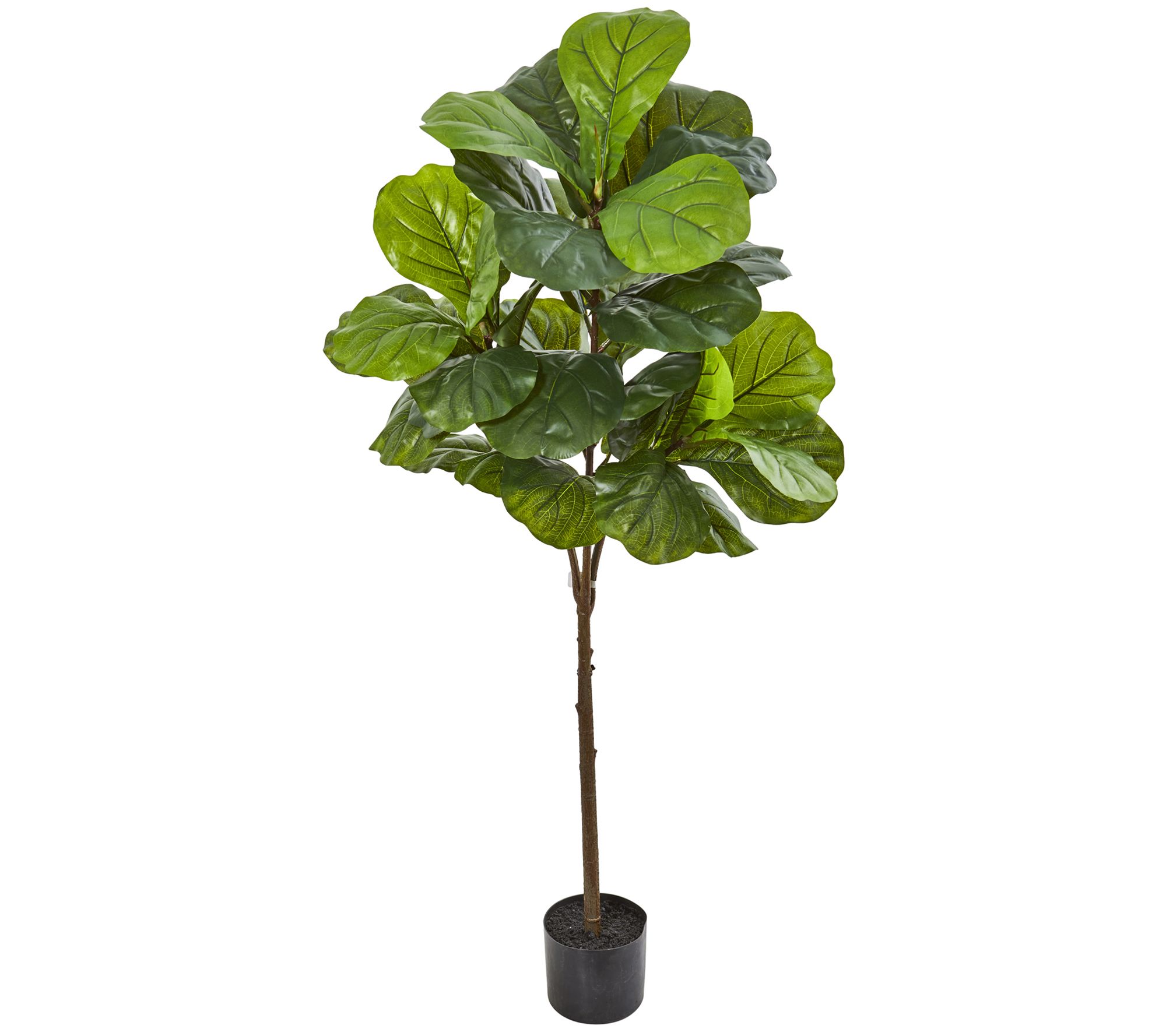 54" Fiddle Leaf Artificial Tree by Nearly Natural