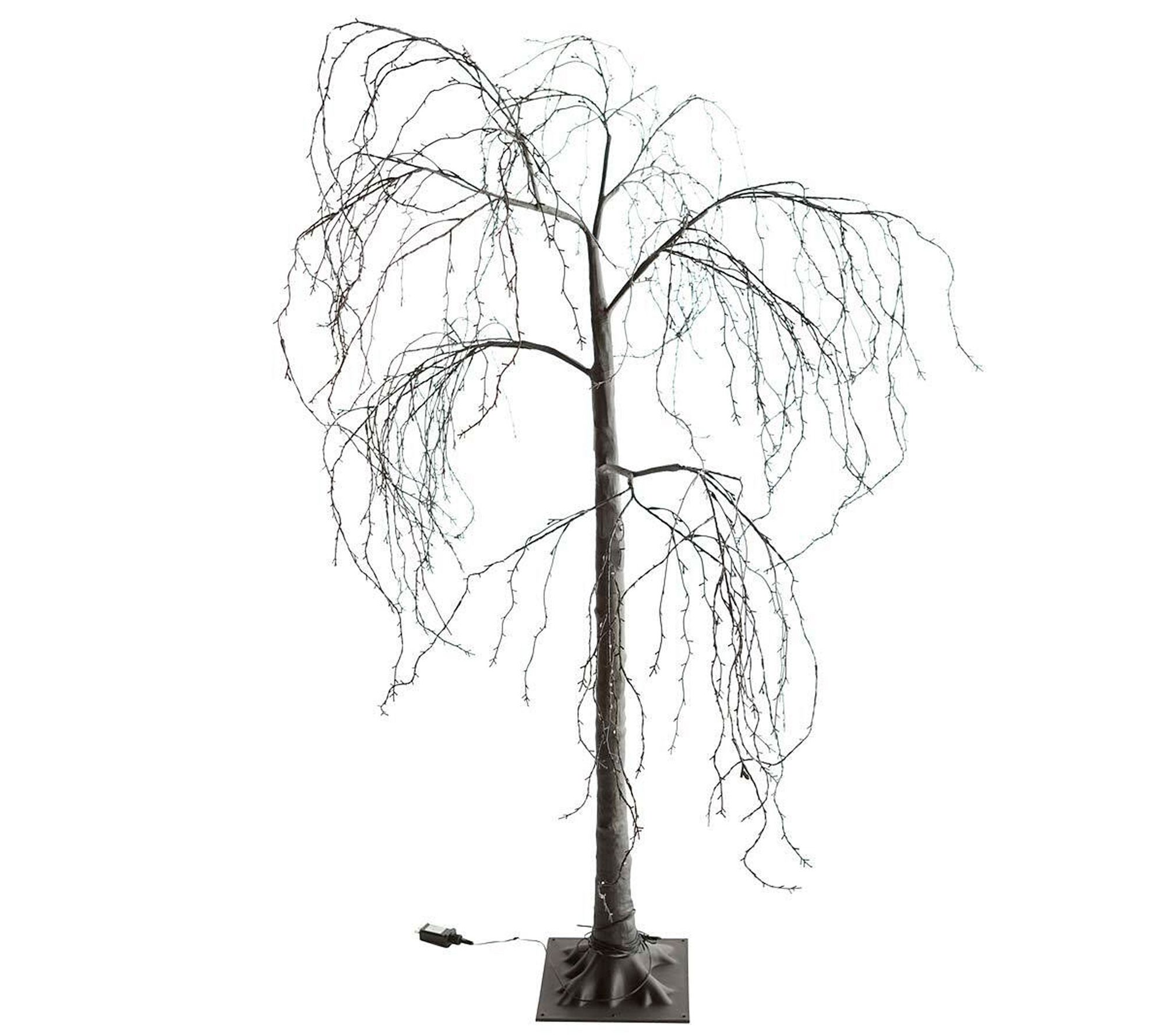 Evergreen 6' Indoor/Outdoor Lighted Weeping Willow Tree