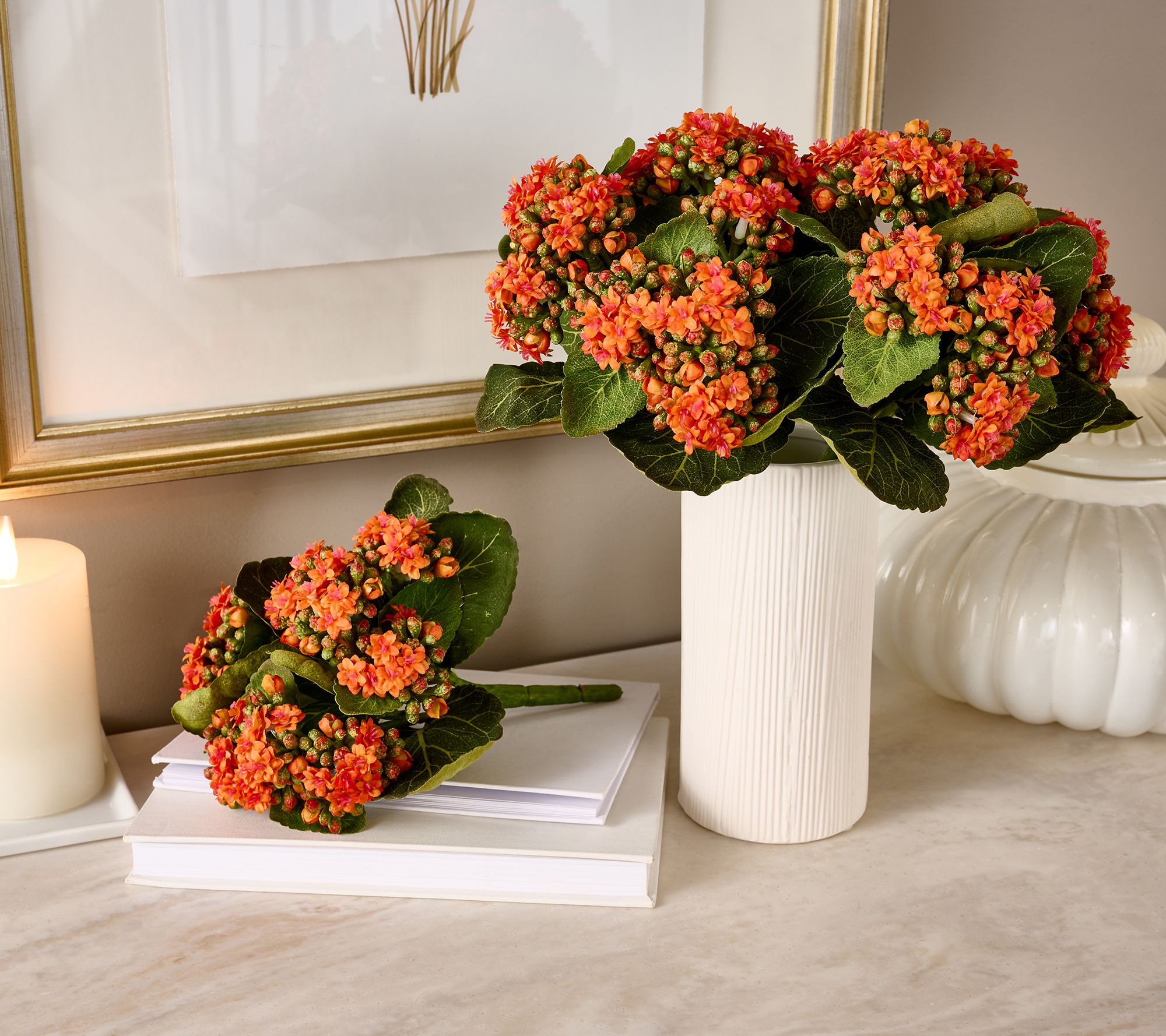 "As Is" Set of 3 Kalanchoe Plants By Valerie