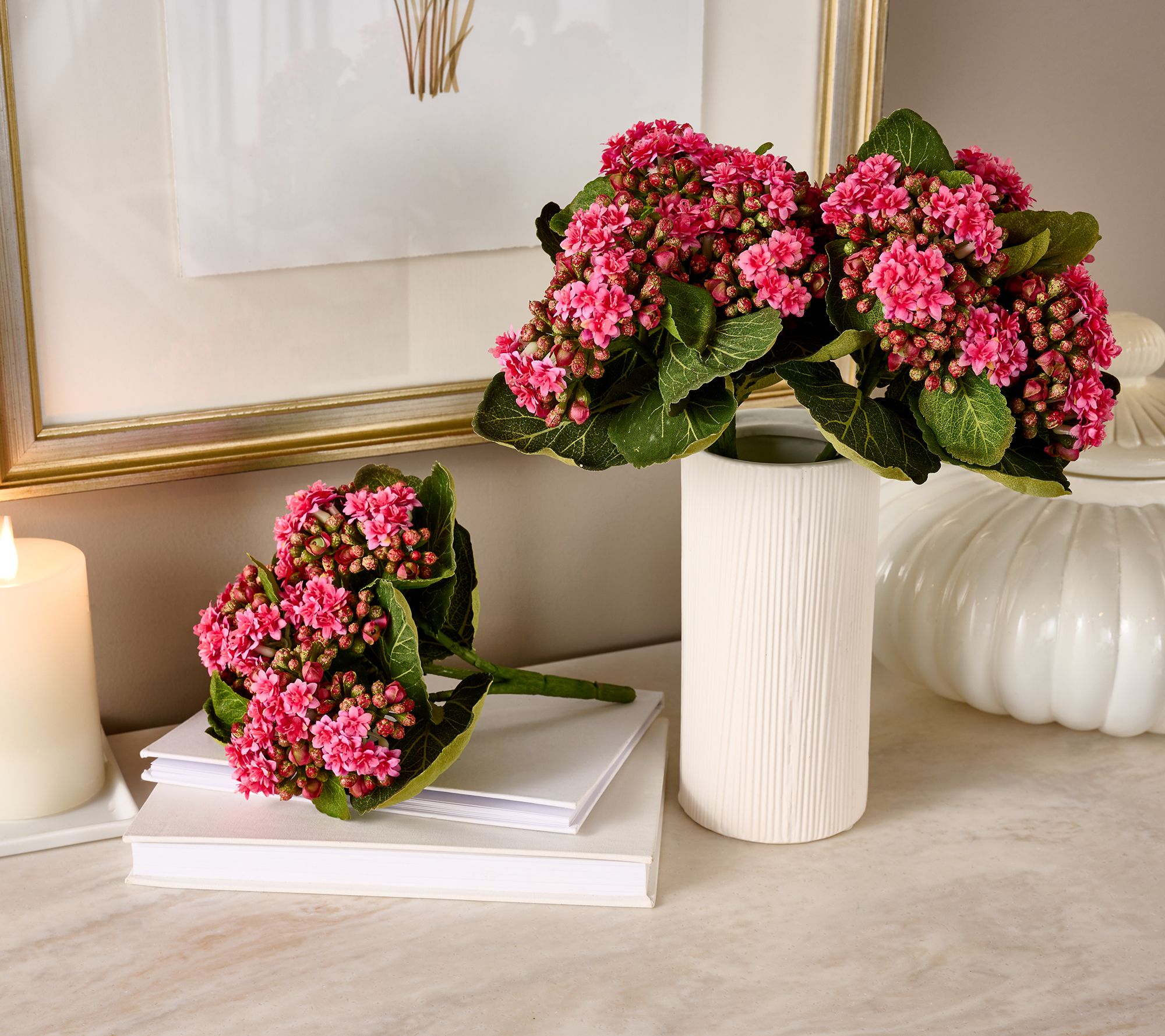 "As Is" Set of 3 Kalanchoe Plants By Valerie