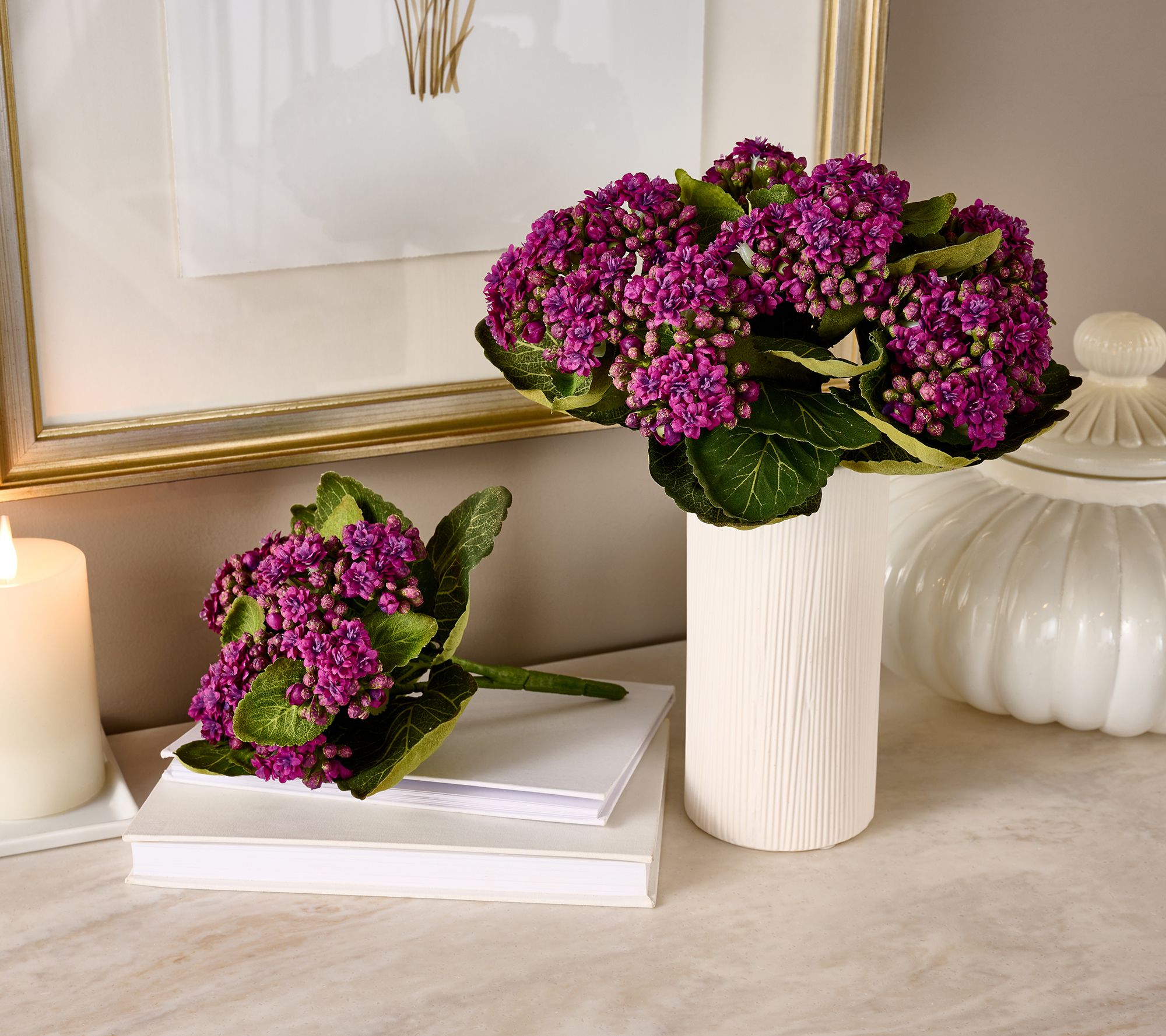 "As Is" Set of 3 Kalanchoe Plants By Valerie