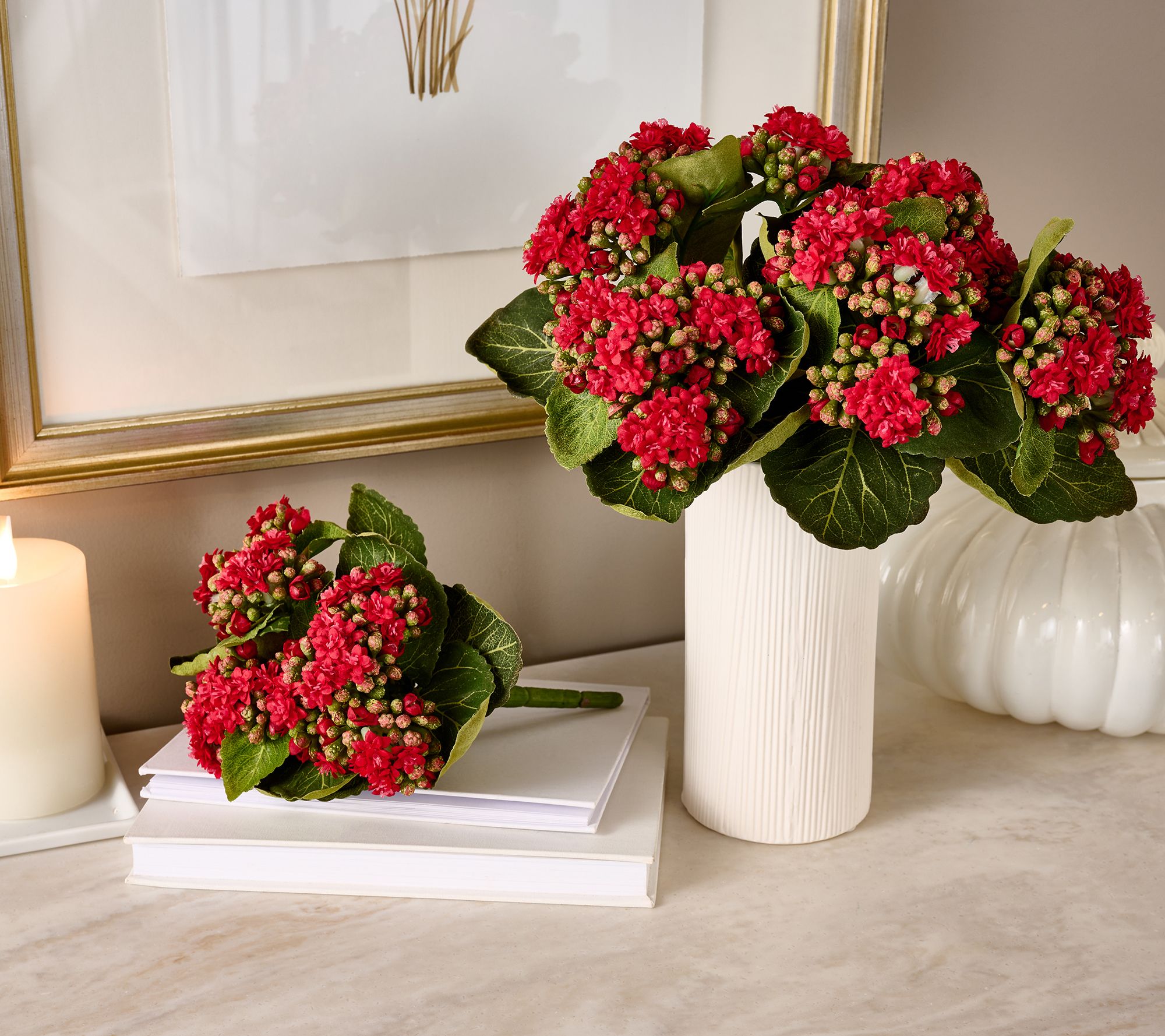 "As Is" Set of 3 Kalanchoe Plants By Valerie