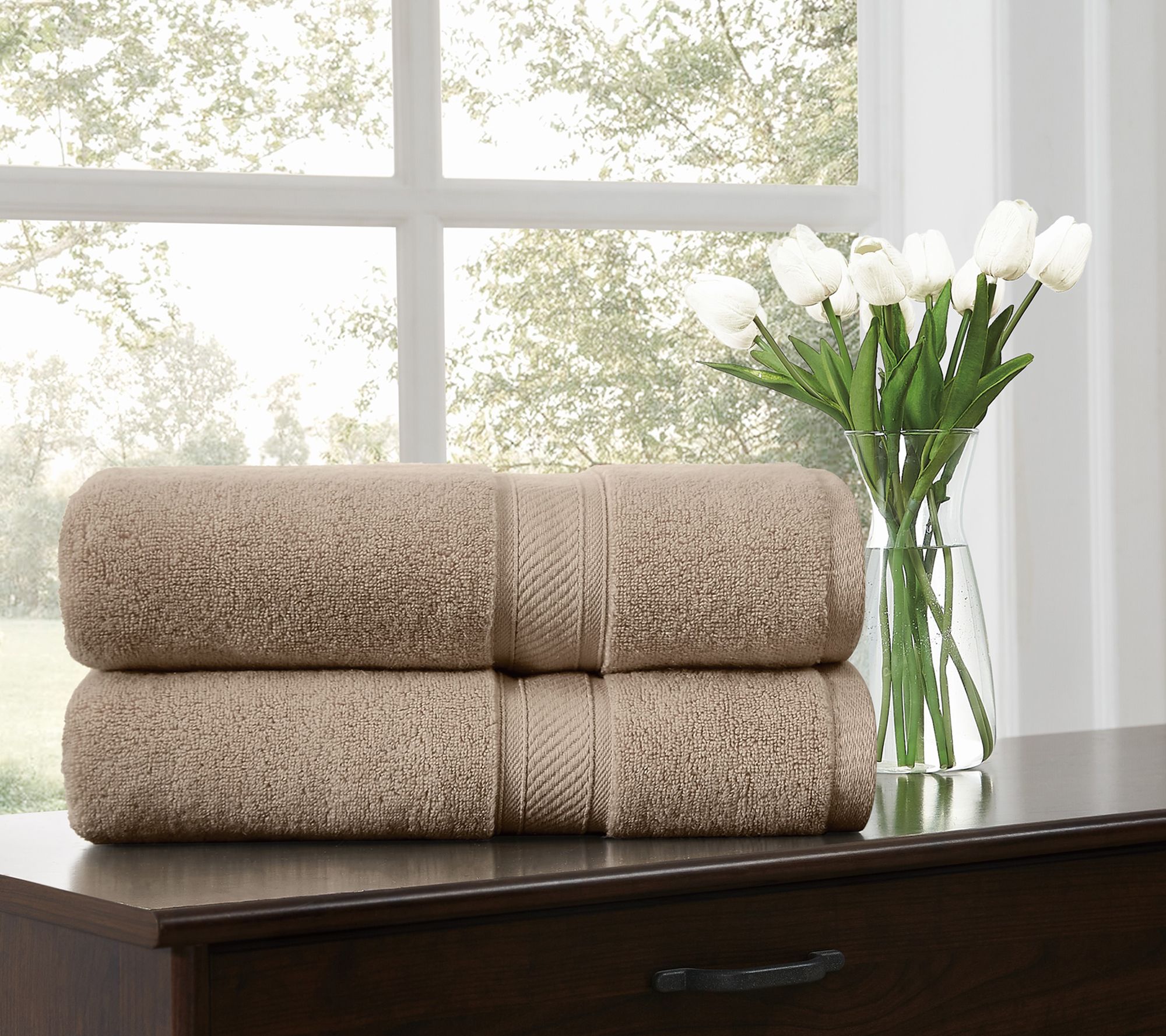 Royal Velvet Regal Plush 2-Piece Bath Sheet