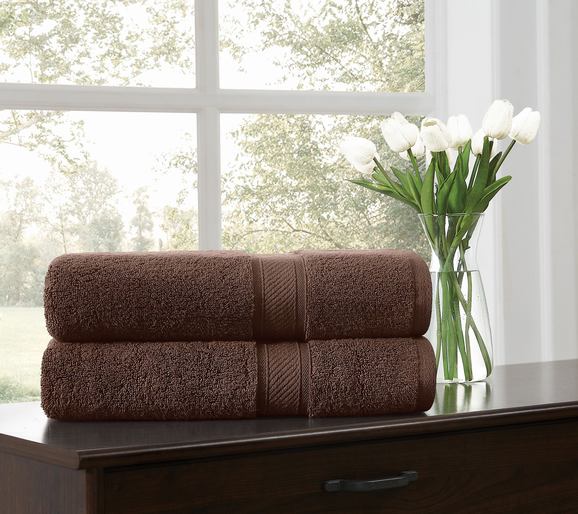 Royal Velvet Regal Plush 2-Piece Bath Sheet