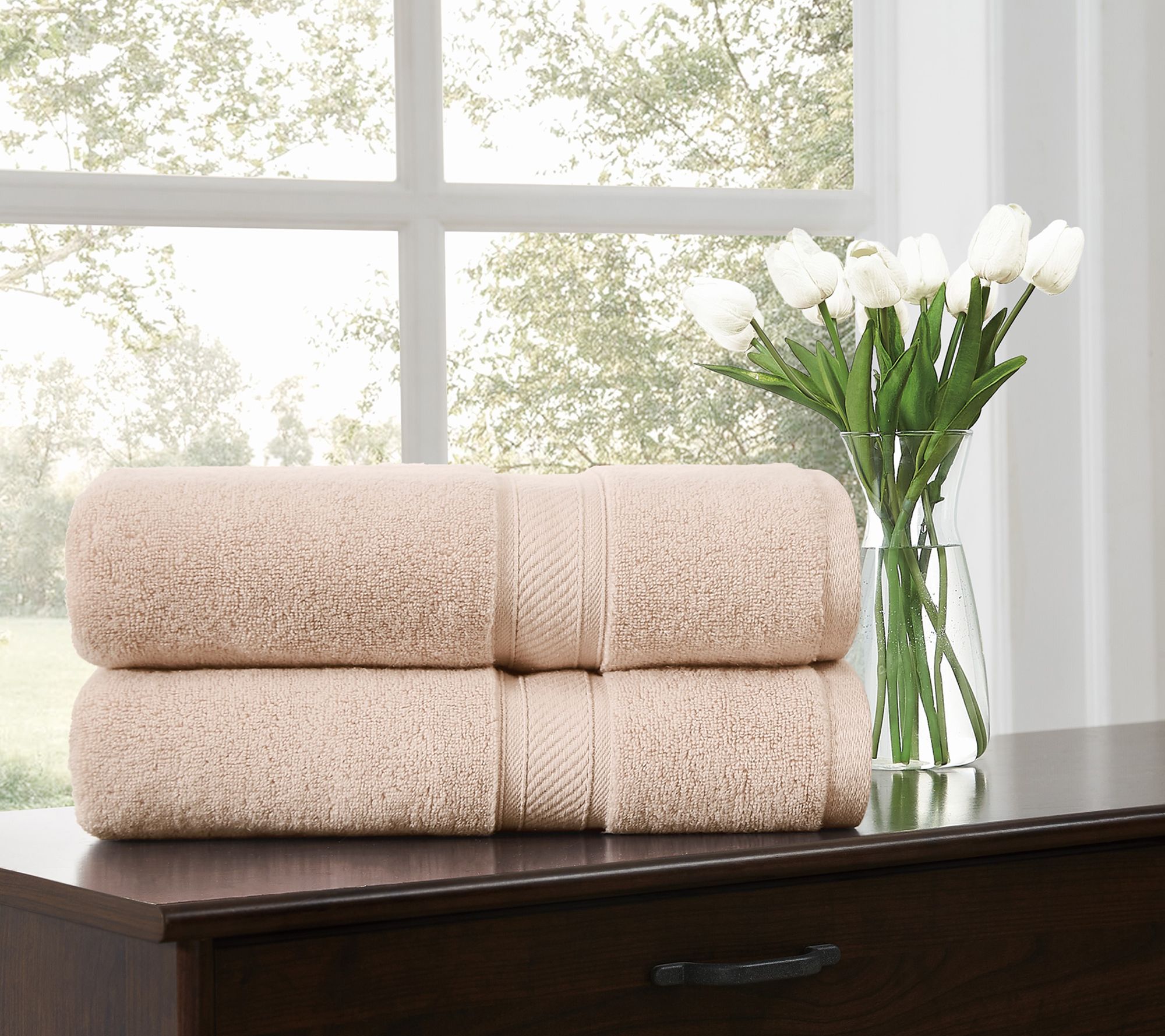 Royal Velvet Regal Plush 2-Piece Bath Sheet