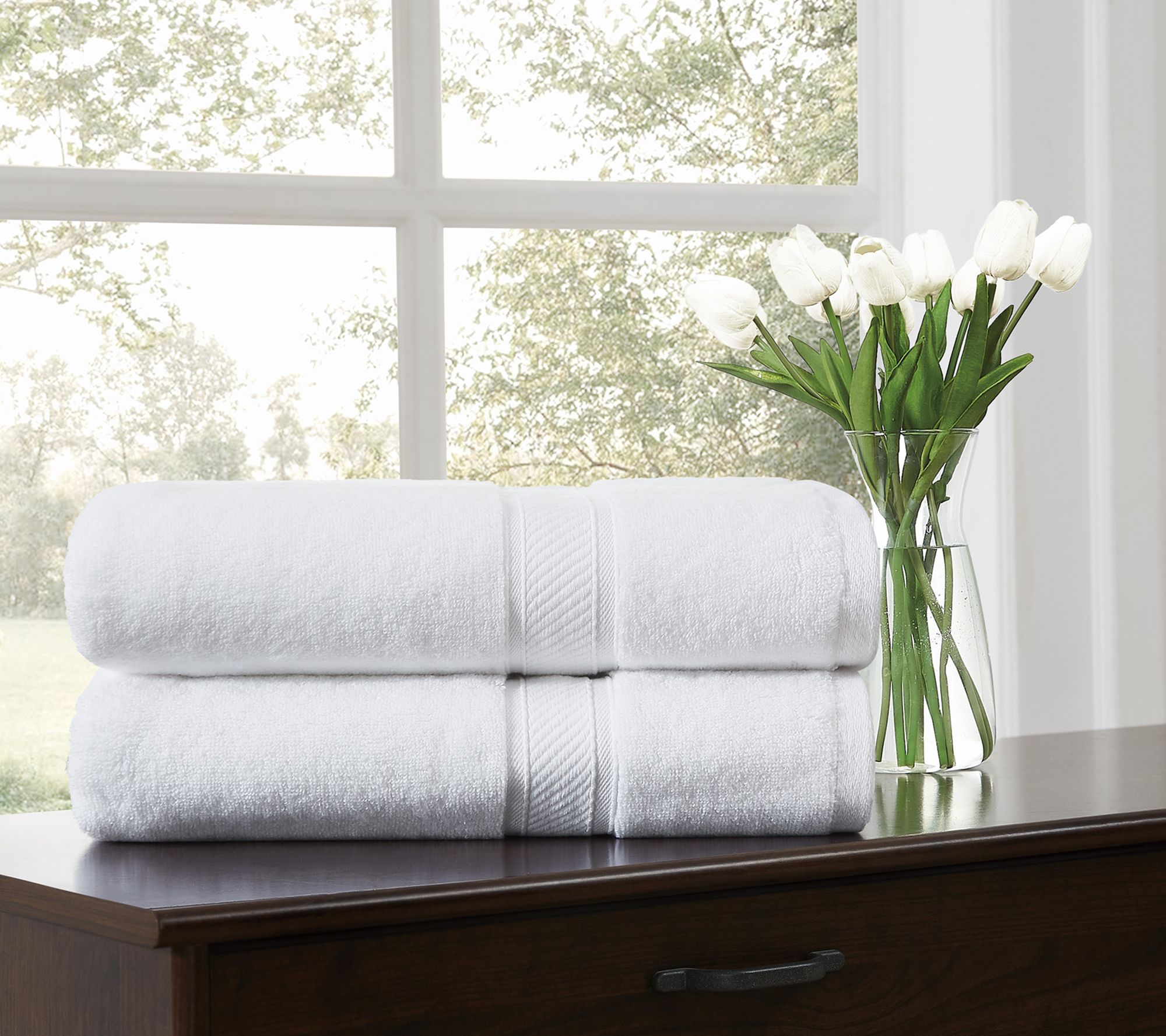 Royal Velvet Regal Plush 2-Piece Bath Sheet