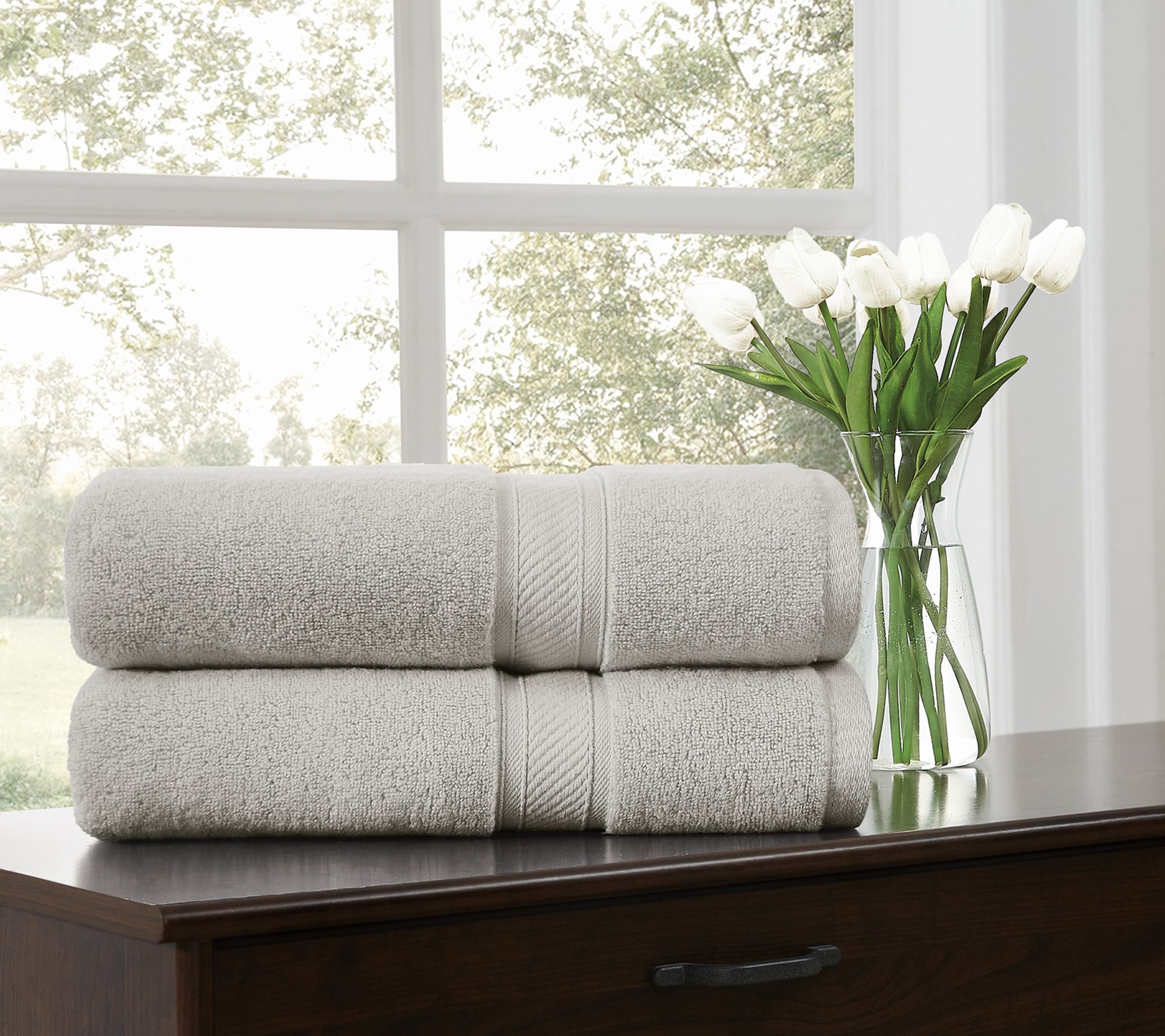 Royal Velvet Regal Plush 2-Piece Bath Sheet