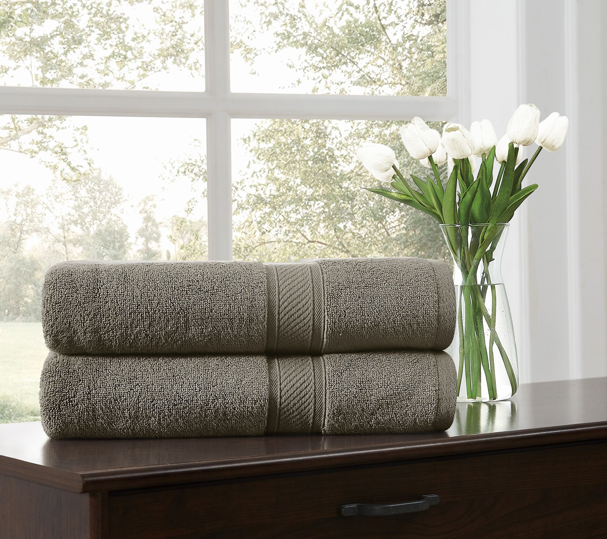 Royal Velvet Regal Plush 2-Piece Bath Sheet