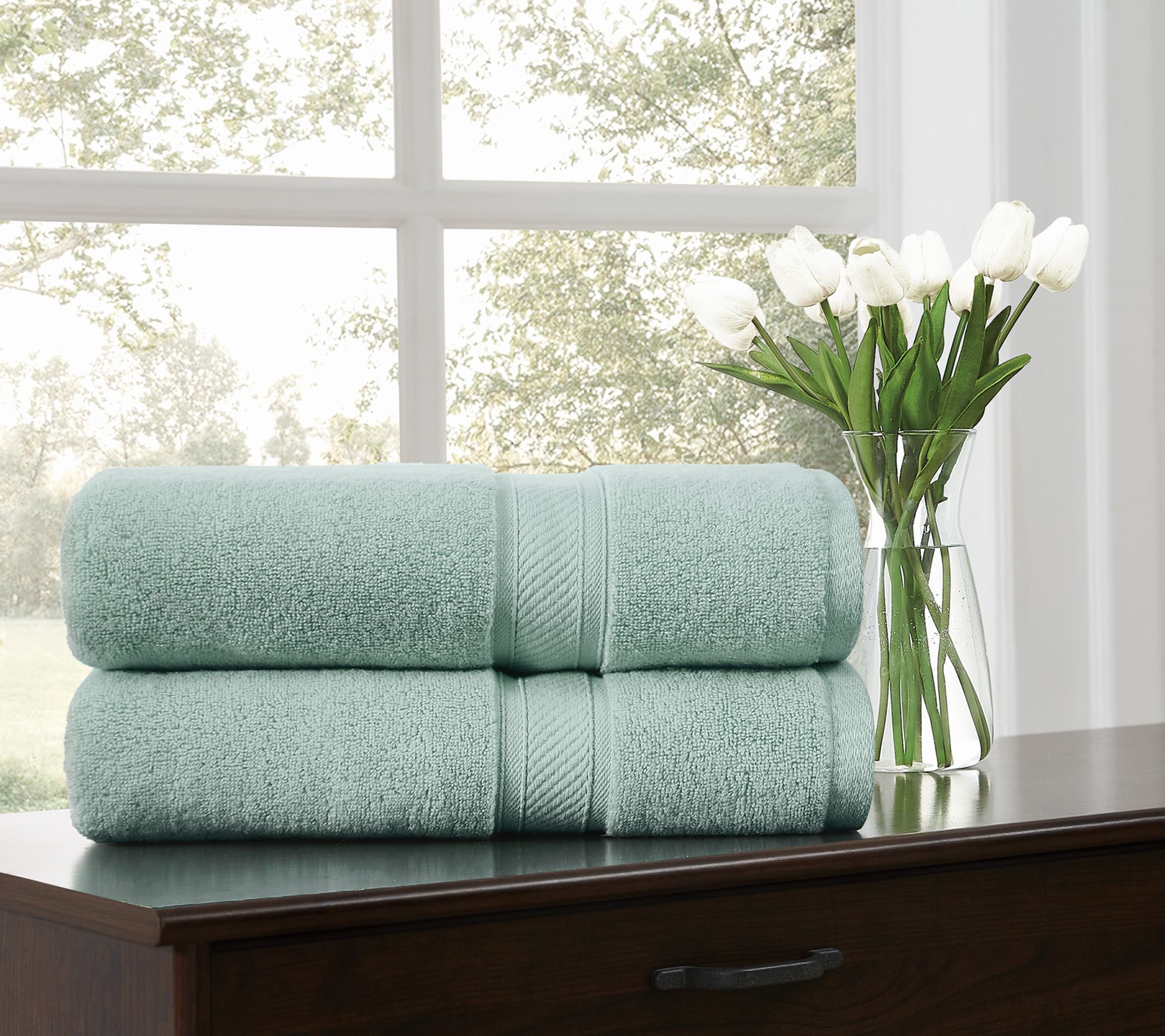 Royal Velvet Regal Plush 2-Piece Bath Sheet