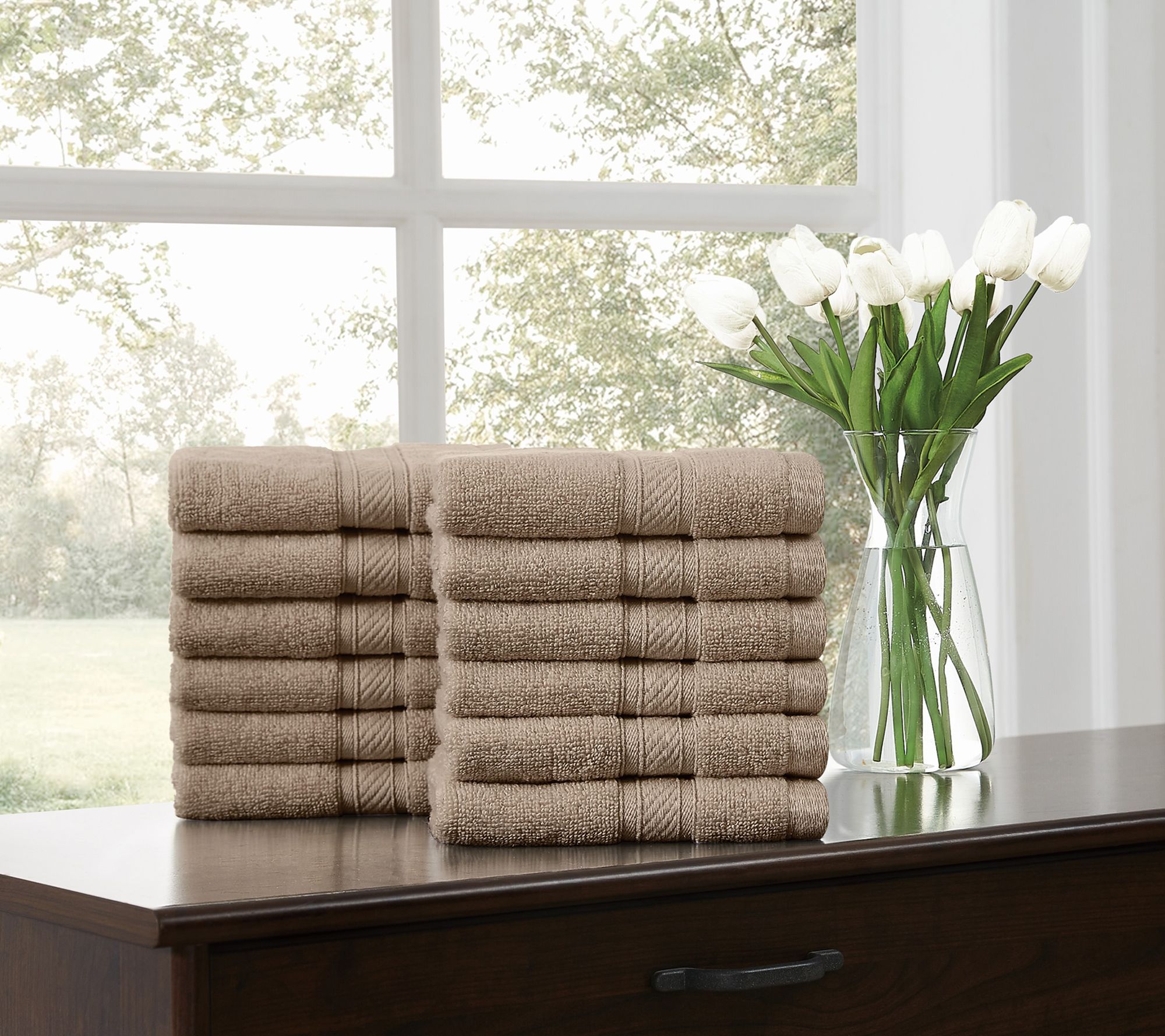 Royal Velvet Regal Plush 12-Piece Wash Cloth