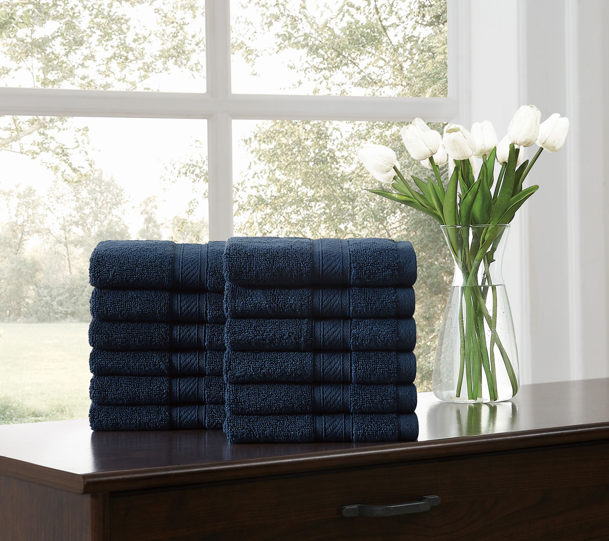 Royal Velvet Regal Plush 12-Piece Wash Cloth