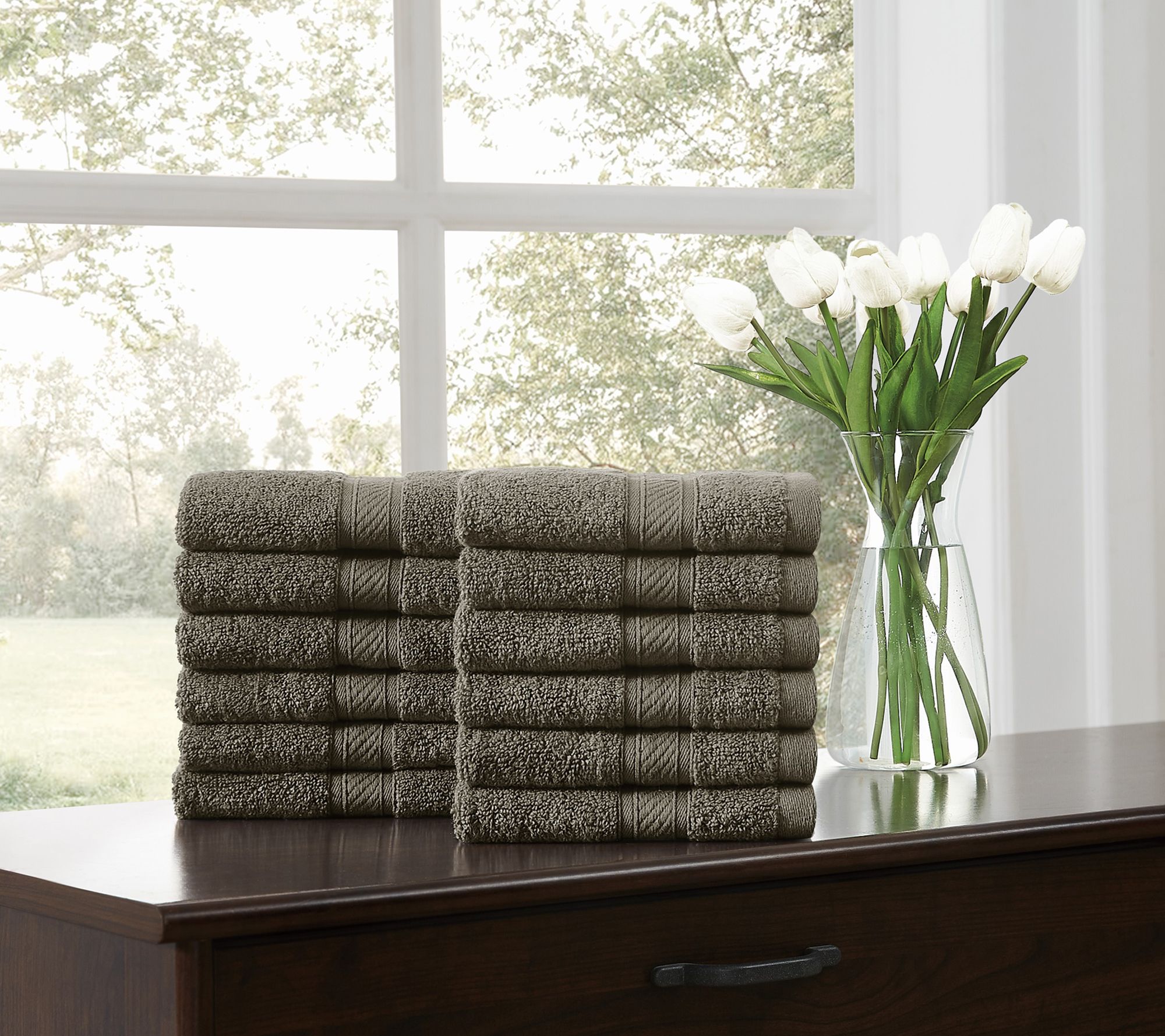 Royal Velvet Regal Plush 12-Piece Wash Cloth