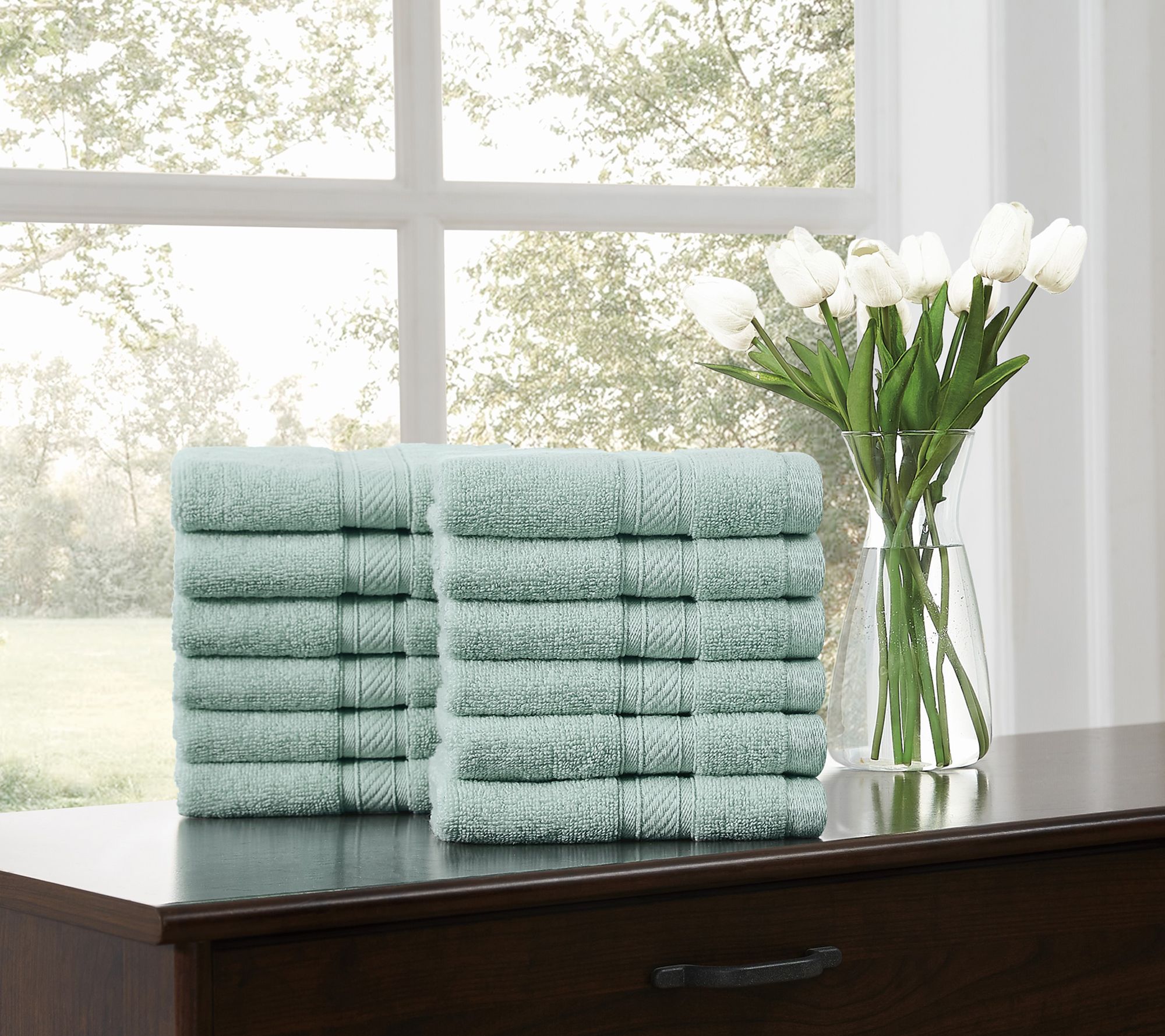 Royal Velvet Regal Plush 12-Piece Wash Cloth