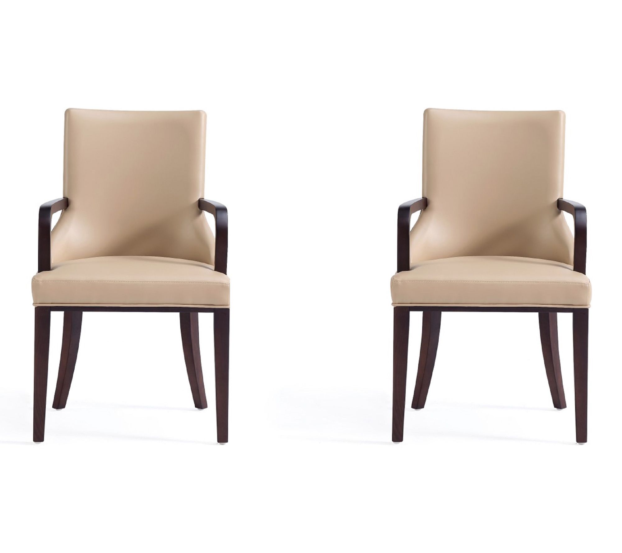 Manhattan Comfort Shubert Vegan Leather Armchair - Set of 2