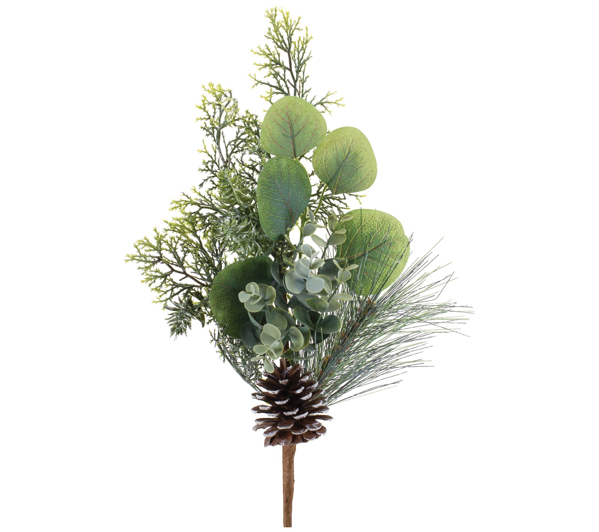 Melrose Pine & Eucalyptus Pick (Set of 6) - QVC.com