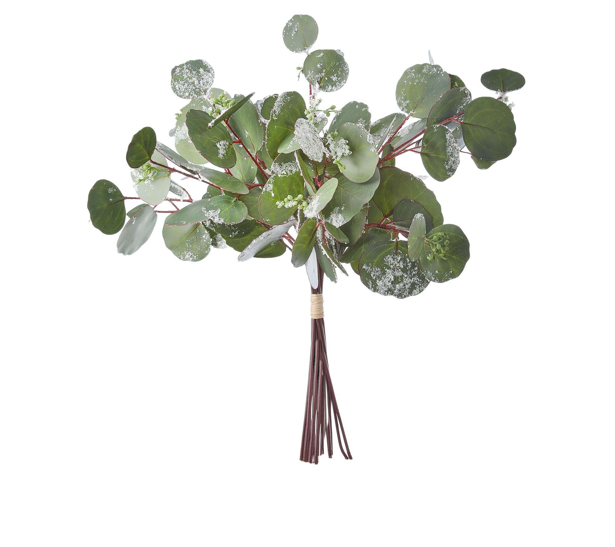 16" Frosted Eucalyptus Bundle by Valerie