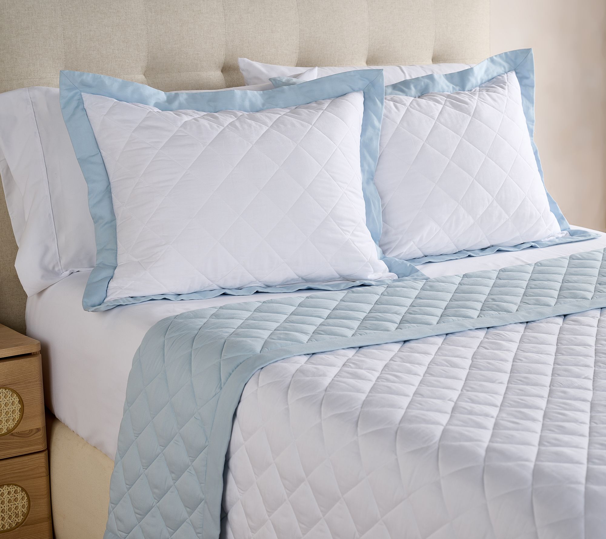 W by Wamsutta Reversible Down Alt Blanket & Sham Set- King