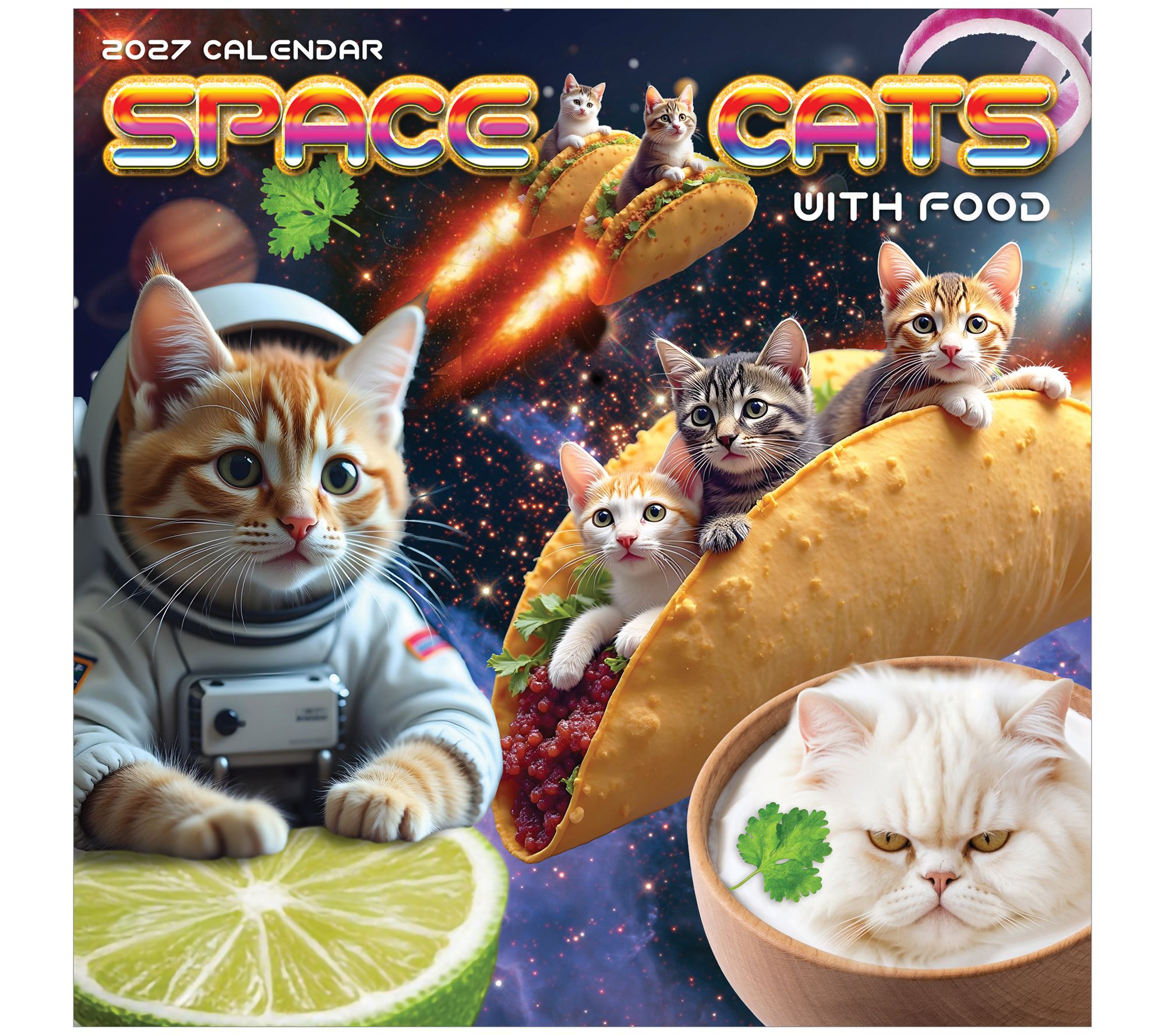 TF Publishing 2027 Space Cats Wall Calendar