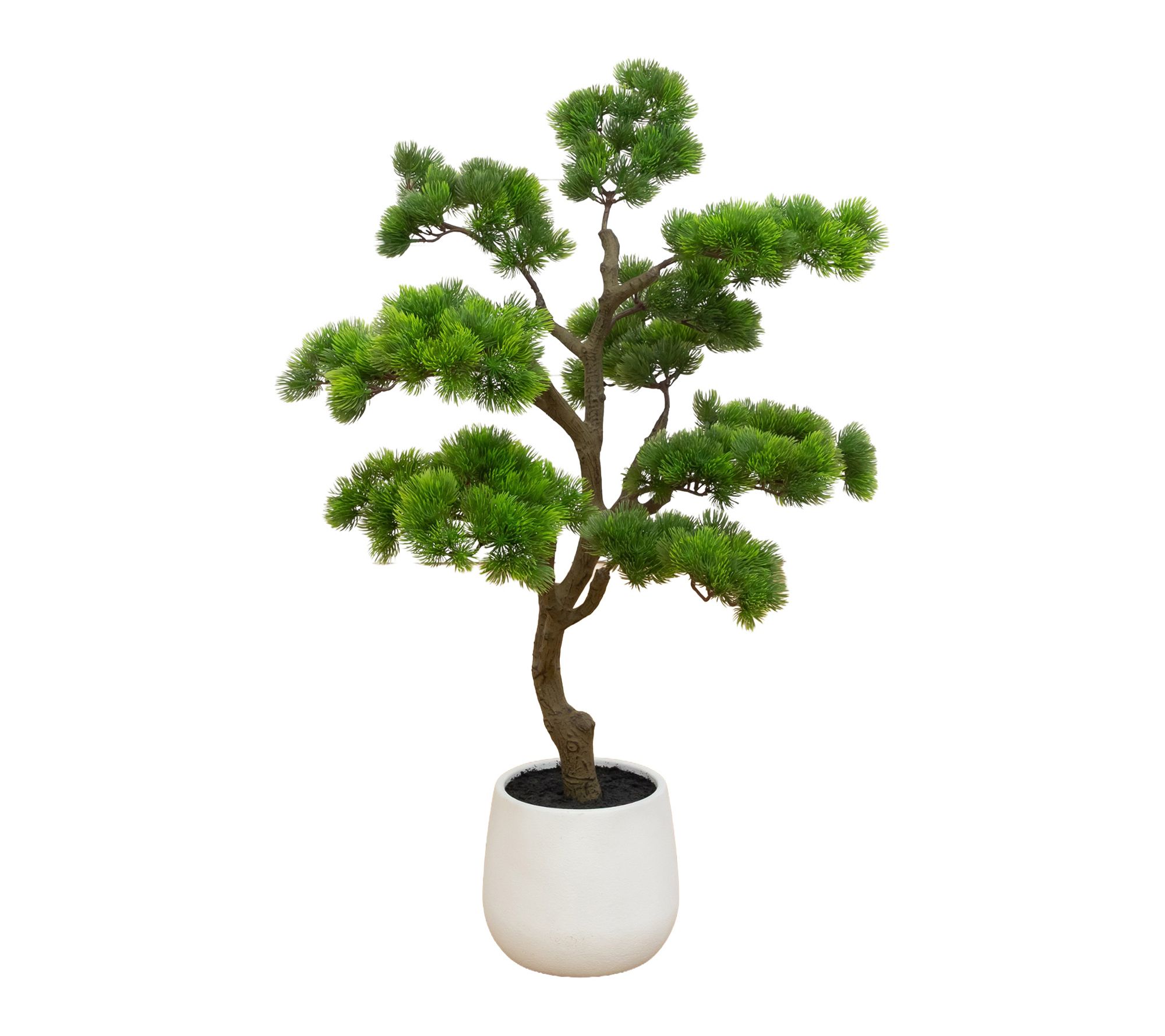 3-ft Bonsai Style Cedar Tree in Planter by Nearly Natural