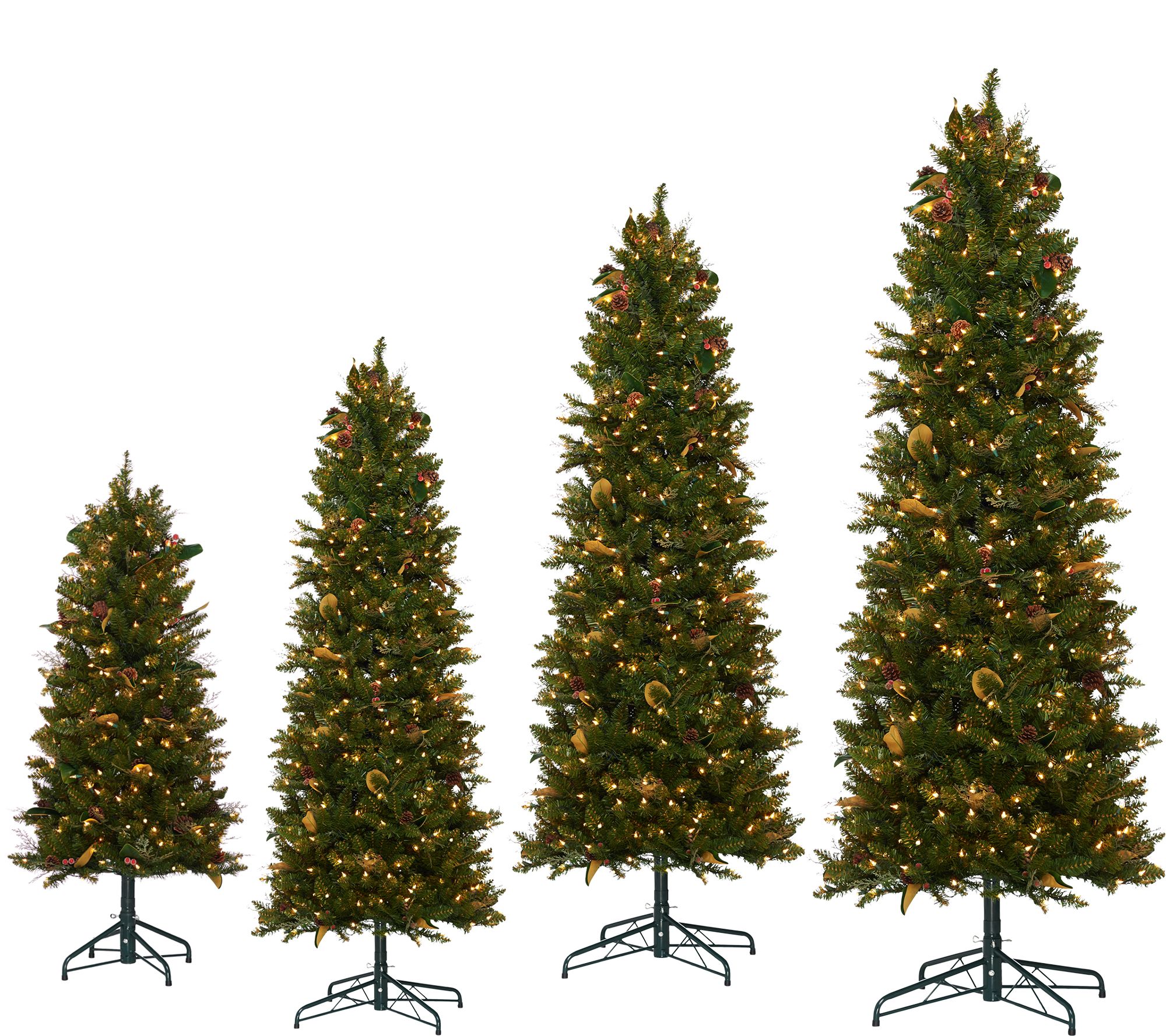 Qvc bethlehem lights tree