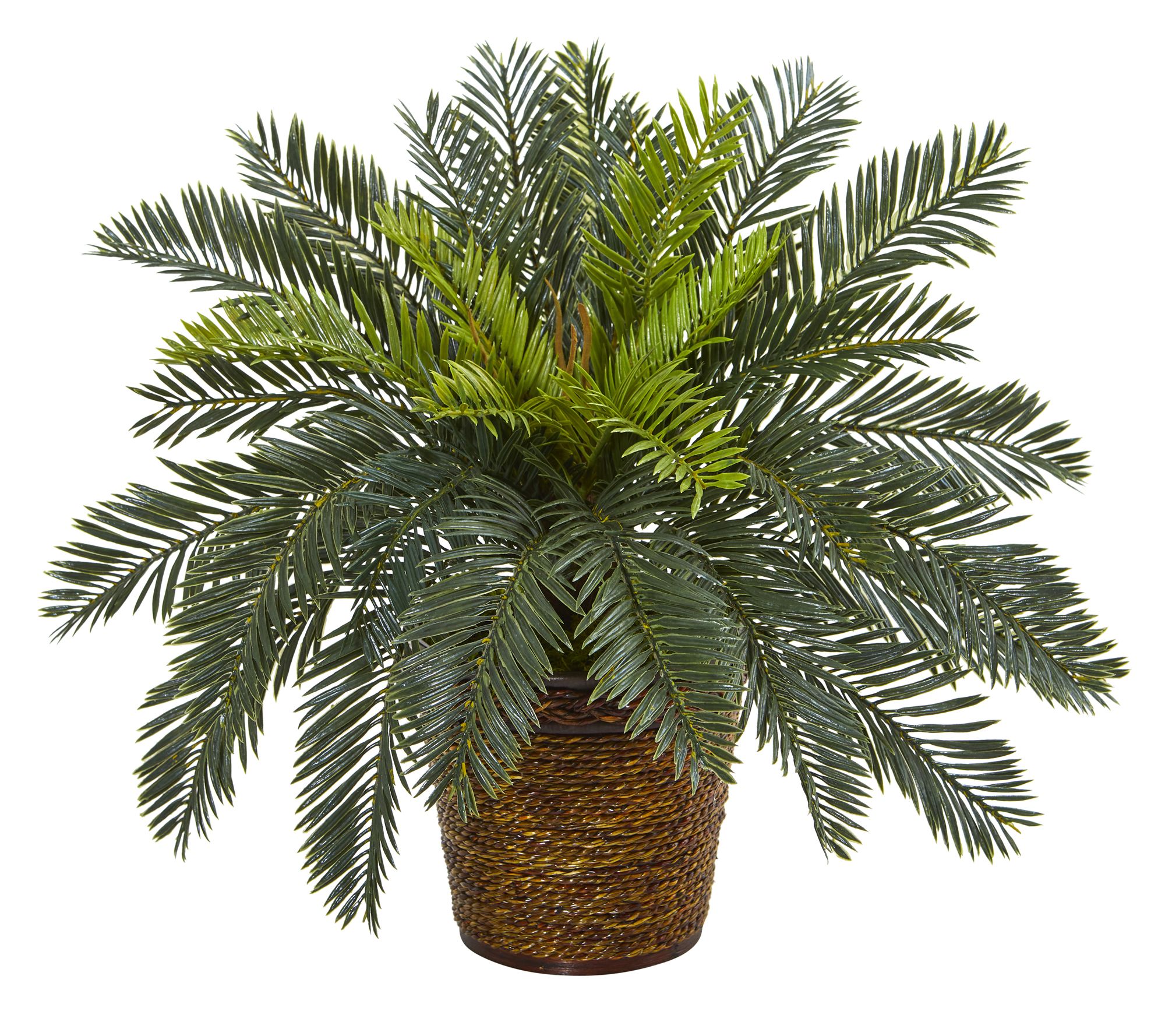 15in. Cycas Artificial Plant in Basket