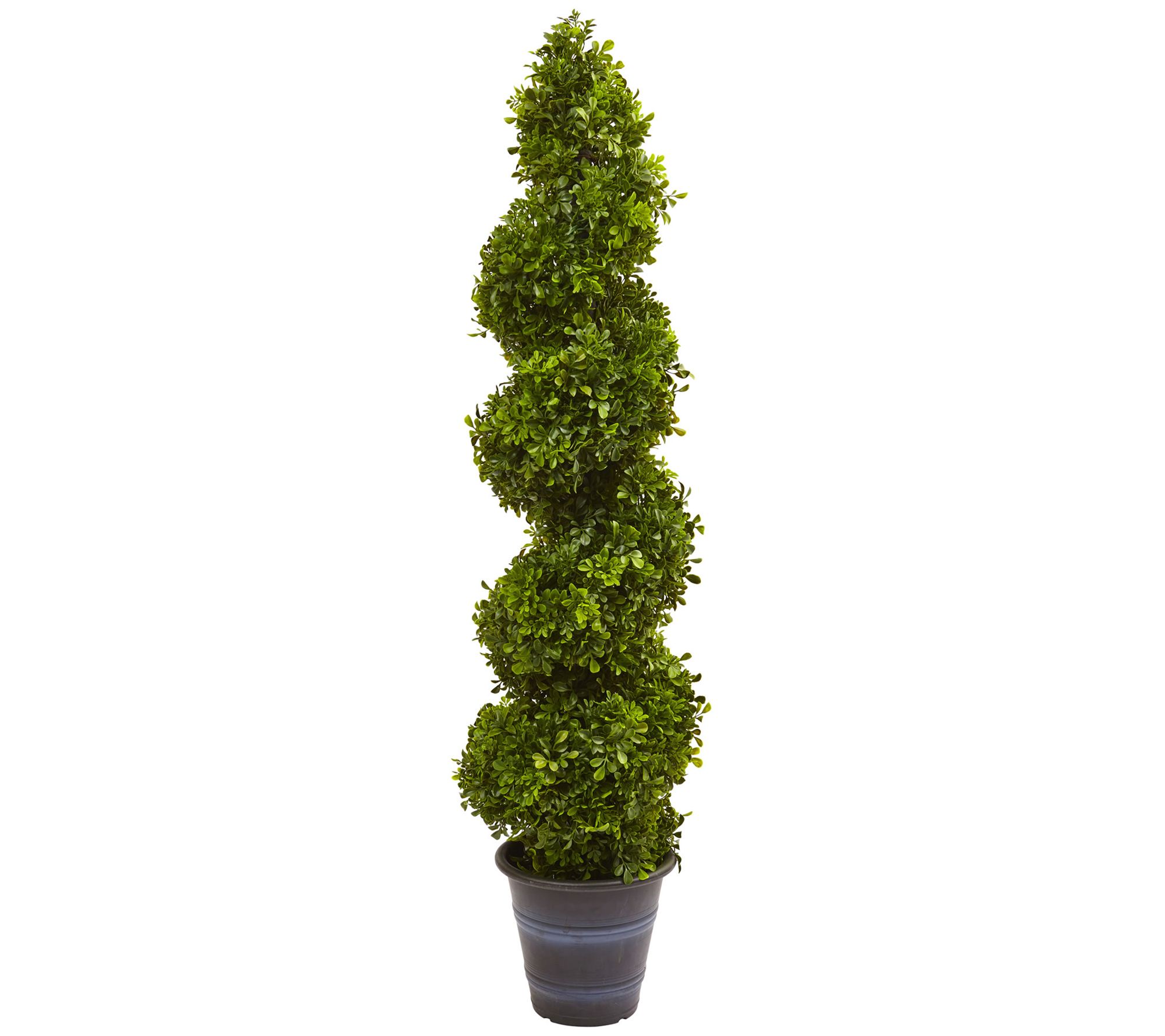 4' Boxwood Spiral Topiary Tree in Planter by Nearly Natural - QVC.com